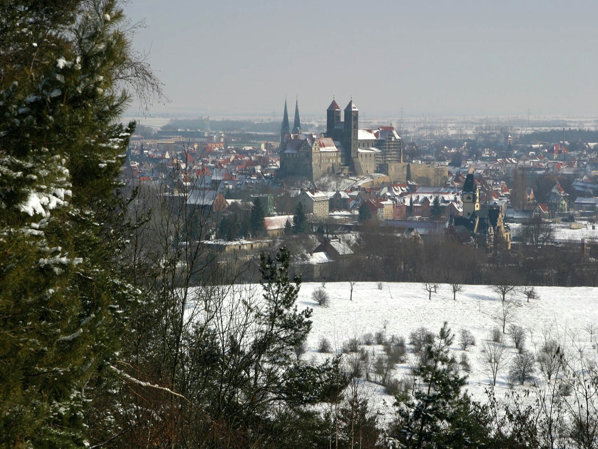 Bodeblick: Stijlvol appartement aan de bosrand, centrum Thale op 100 meter - foto 37