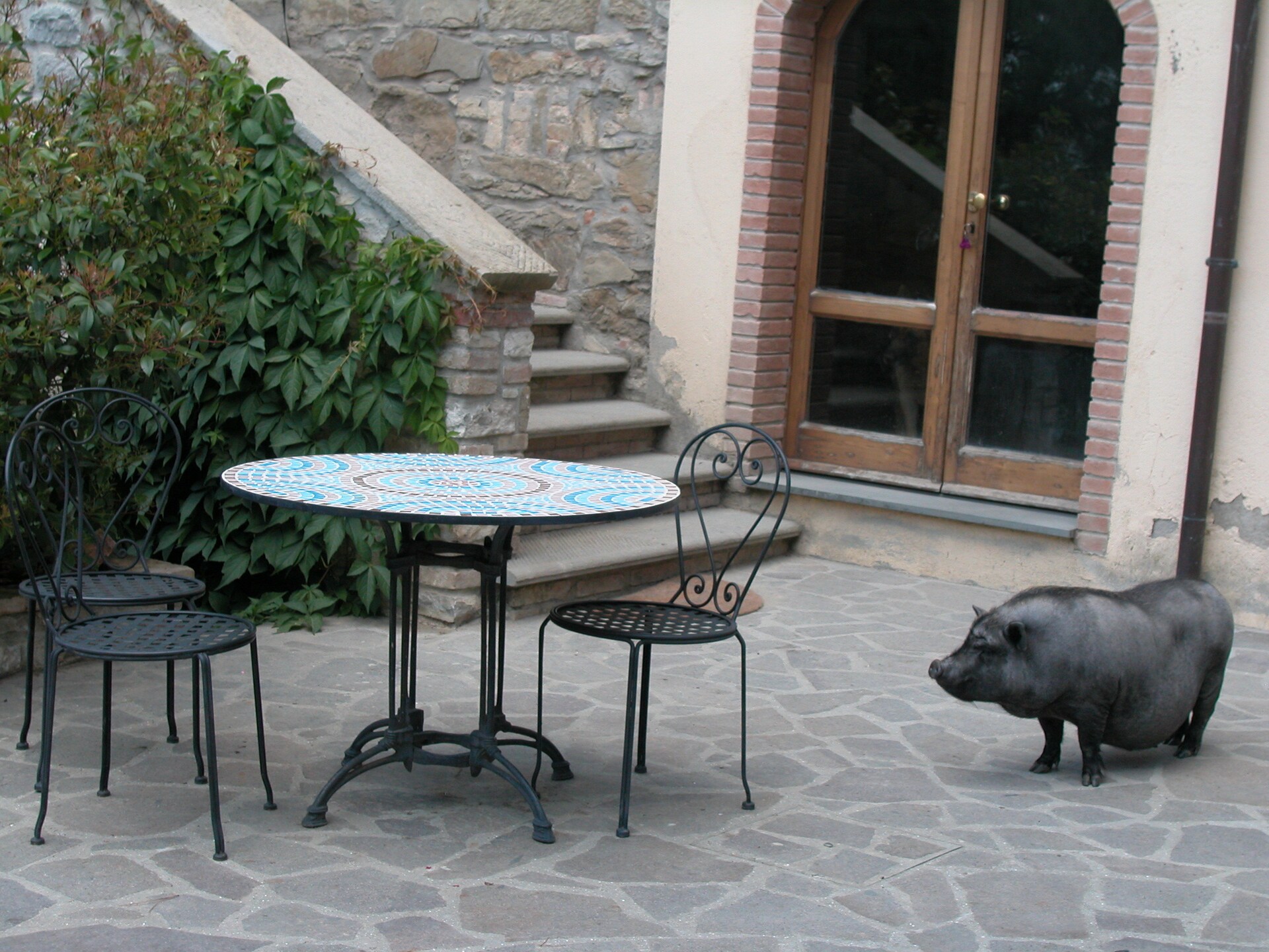 Knusse boerderij voor 2 met zwembad en tuin bij Monte Santa Maria Tiberina - foto 38