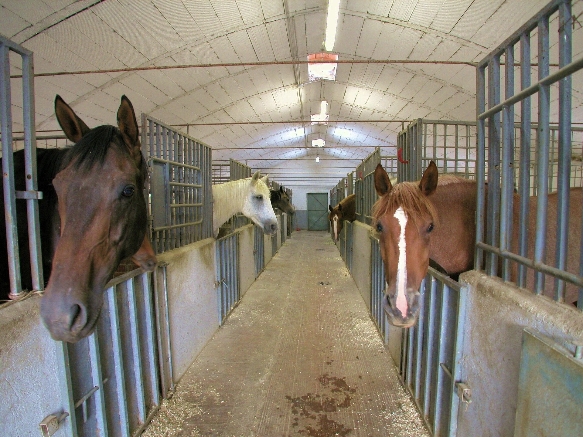 Knusse boerderij voor 2 met zwembad en tuin bij Monte Santa Maria Tiberina - foto 30