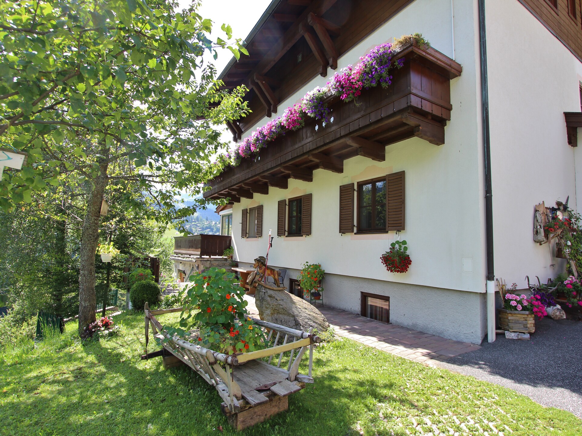 Reiter 10 - foto 26