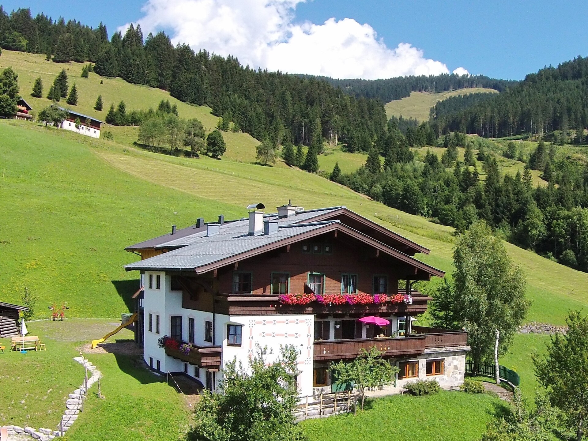 Reiter 10 - foto 22