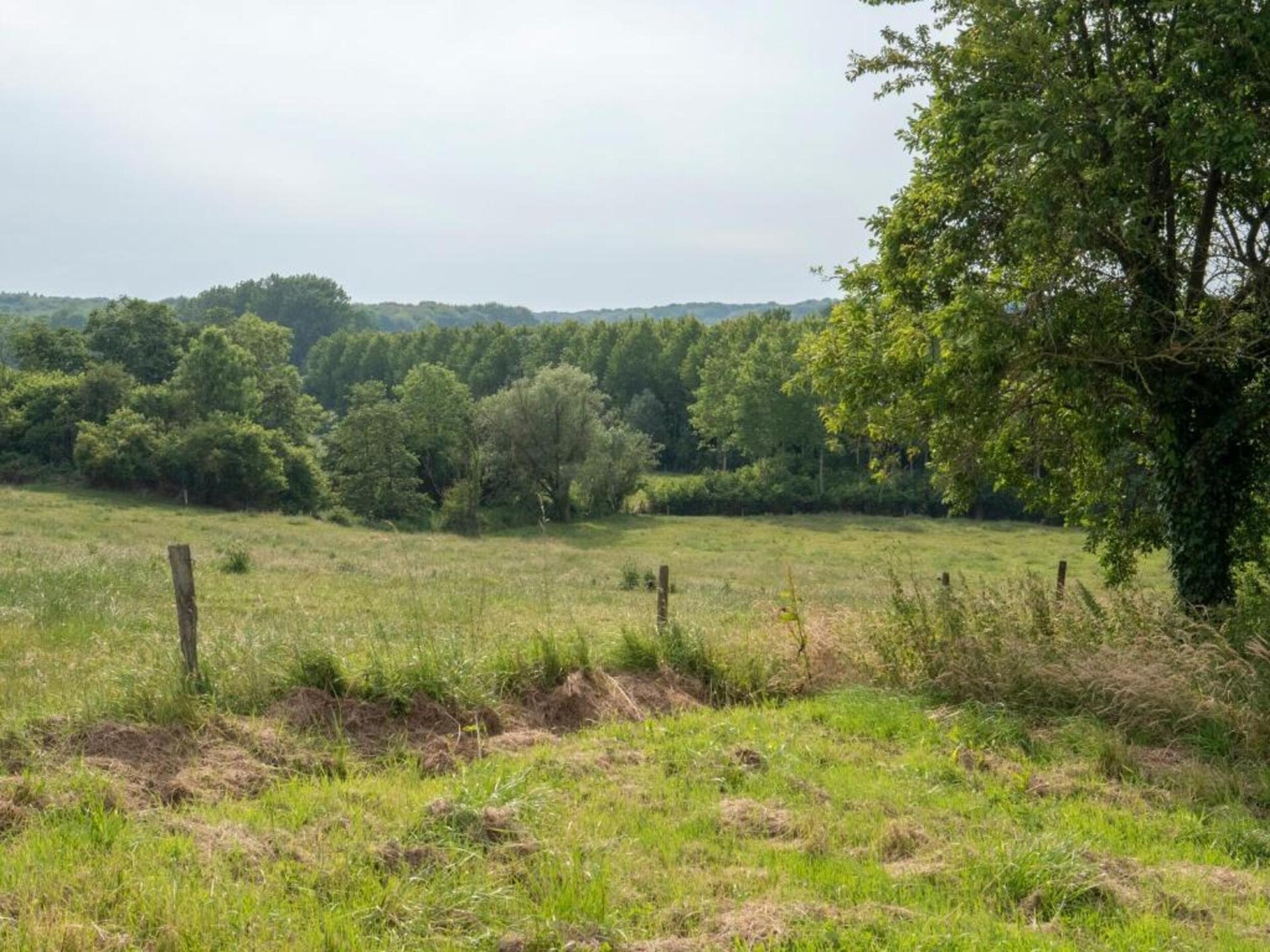 Ruim vakantiehuis Les Tropiques in Ellezelles voor 7 personen - foto 28