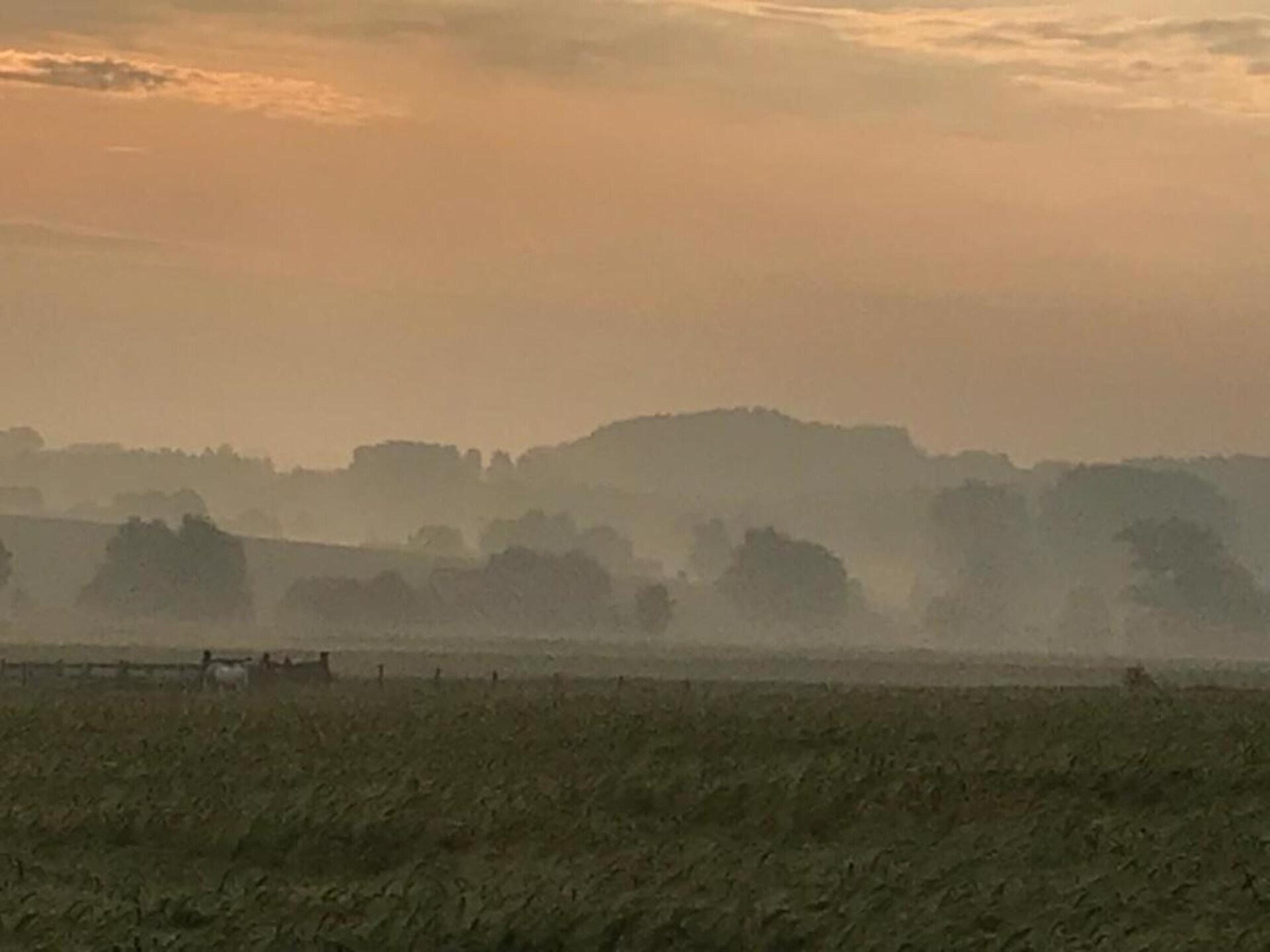 Ruim vakantiehuis Les Tropiques in Ellezelles voor 7 personen - foto 29