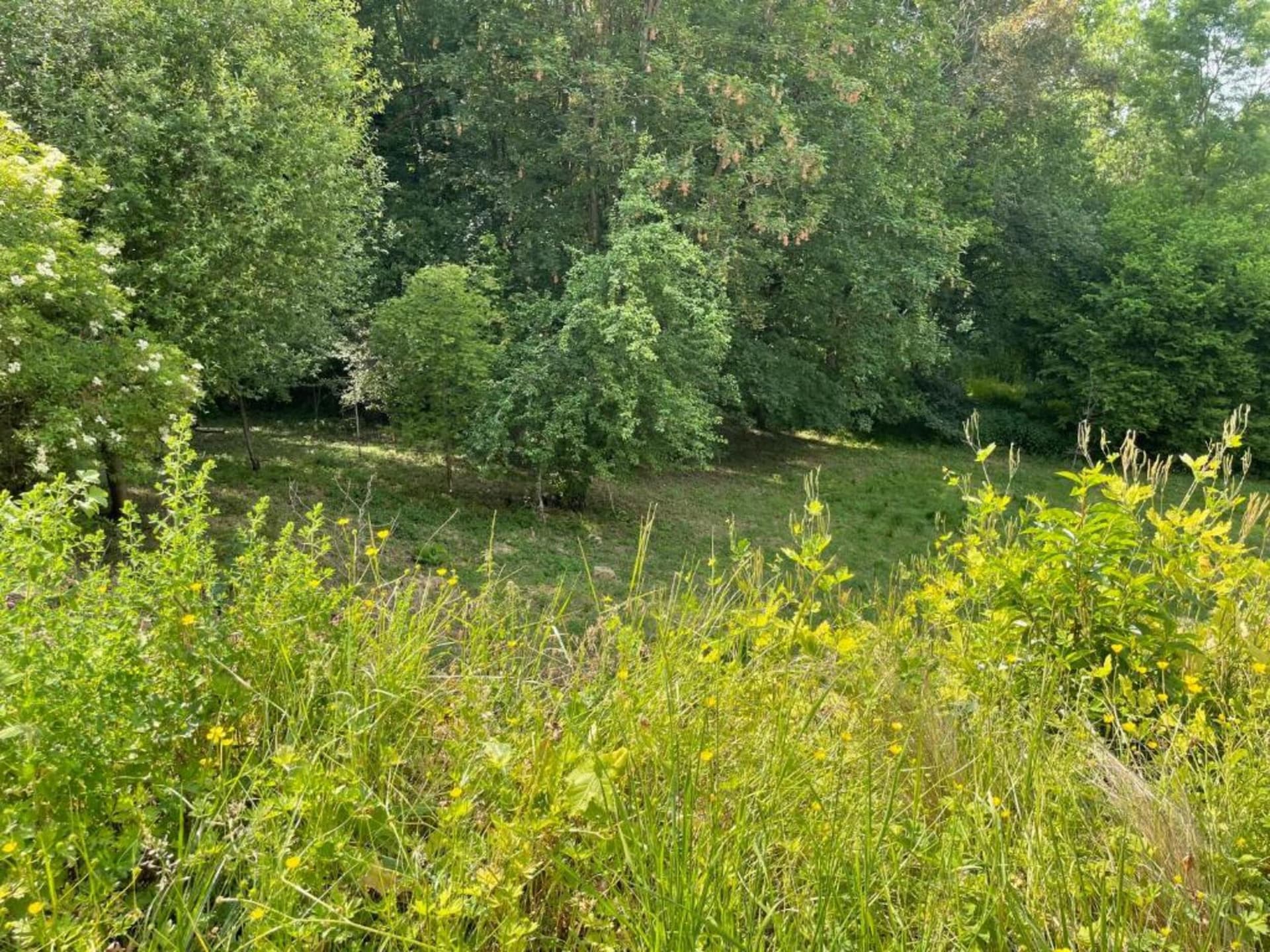 Ruim vakantiehuis Les Tropiques in Ellezelles voor 7 personen - foto 32