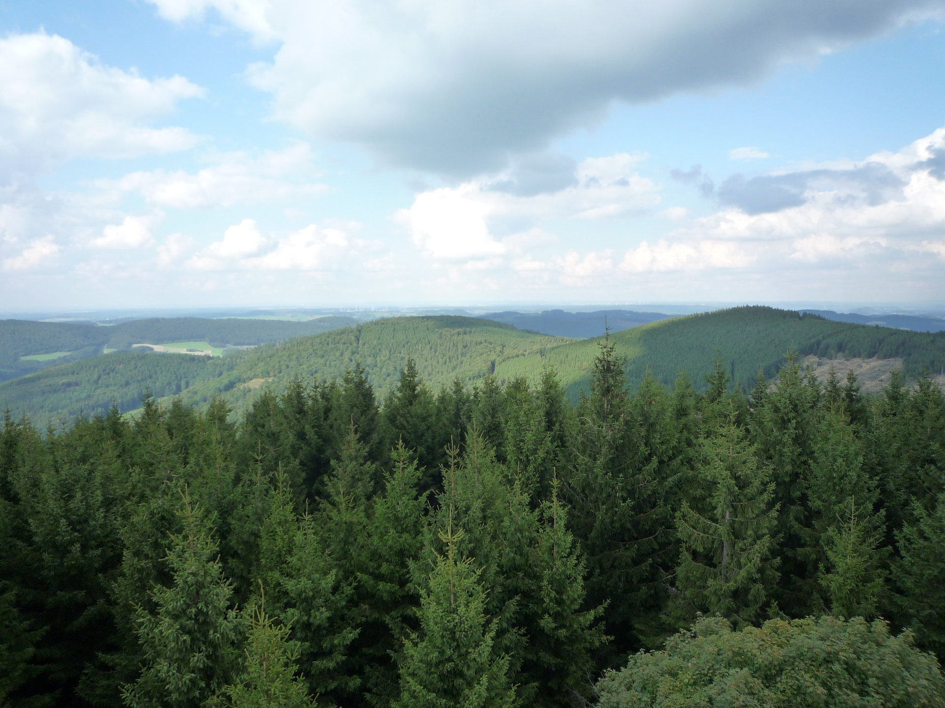Rustiek appartement voor 6 personen aan de bosrand in Willingen-Schwalefeld - foto 36