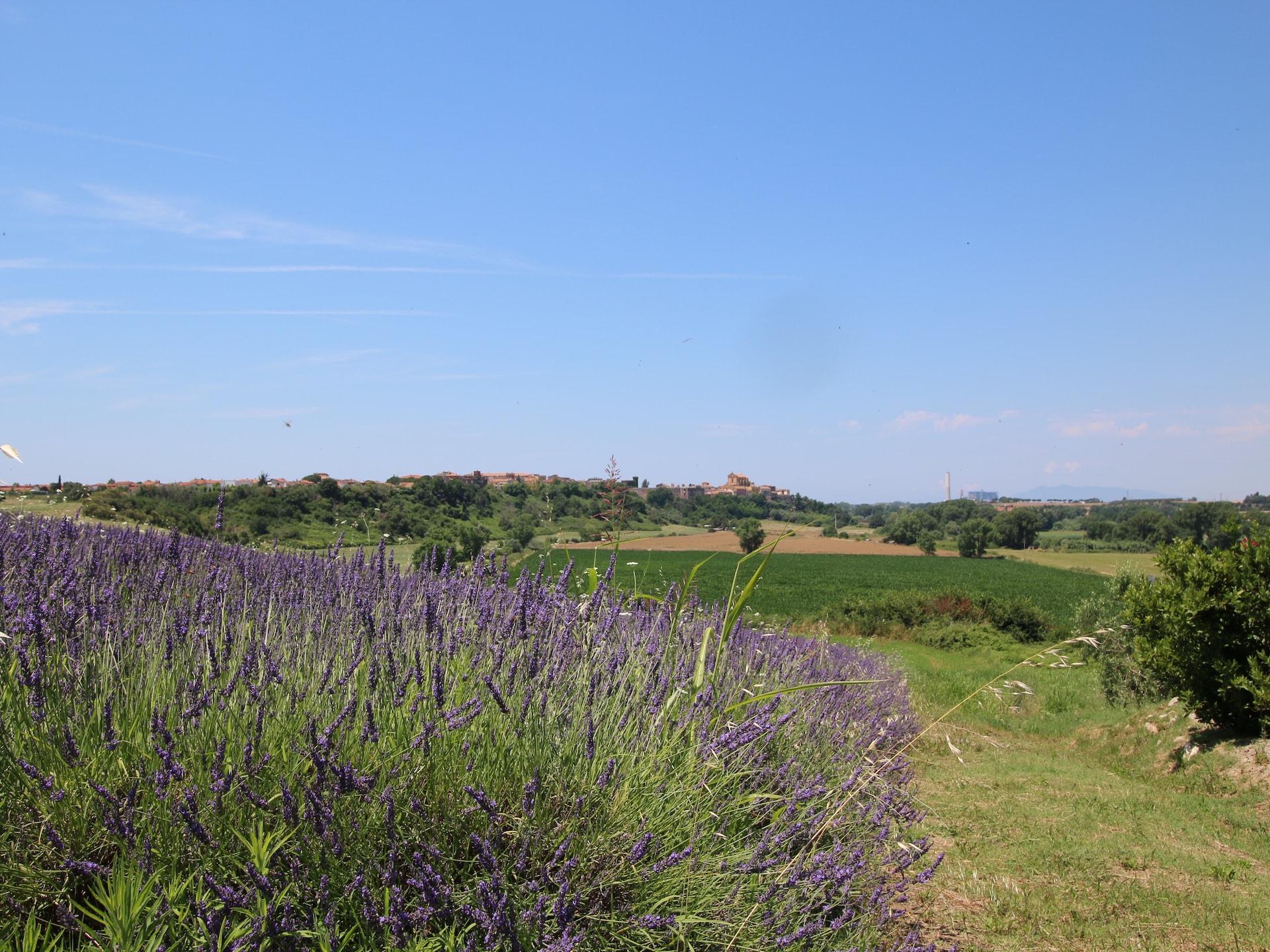 Op 1 km van het centrum: Sfeervolle boerderij Sughera in Montalto di Castro - foto 27