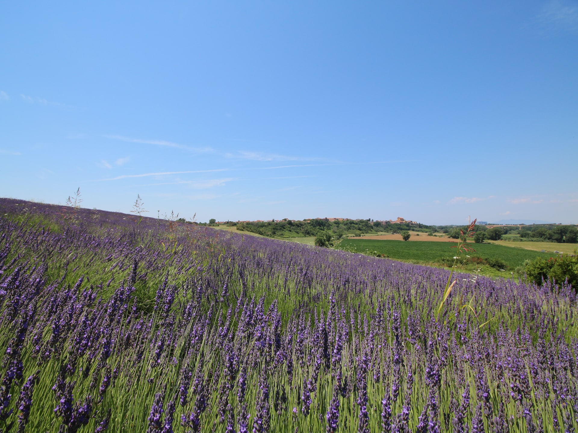 Op 1 km van het centrum: Sfeervolle boerderij Sughera in Montalto di Castro - foto 26