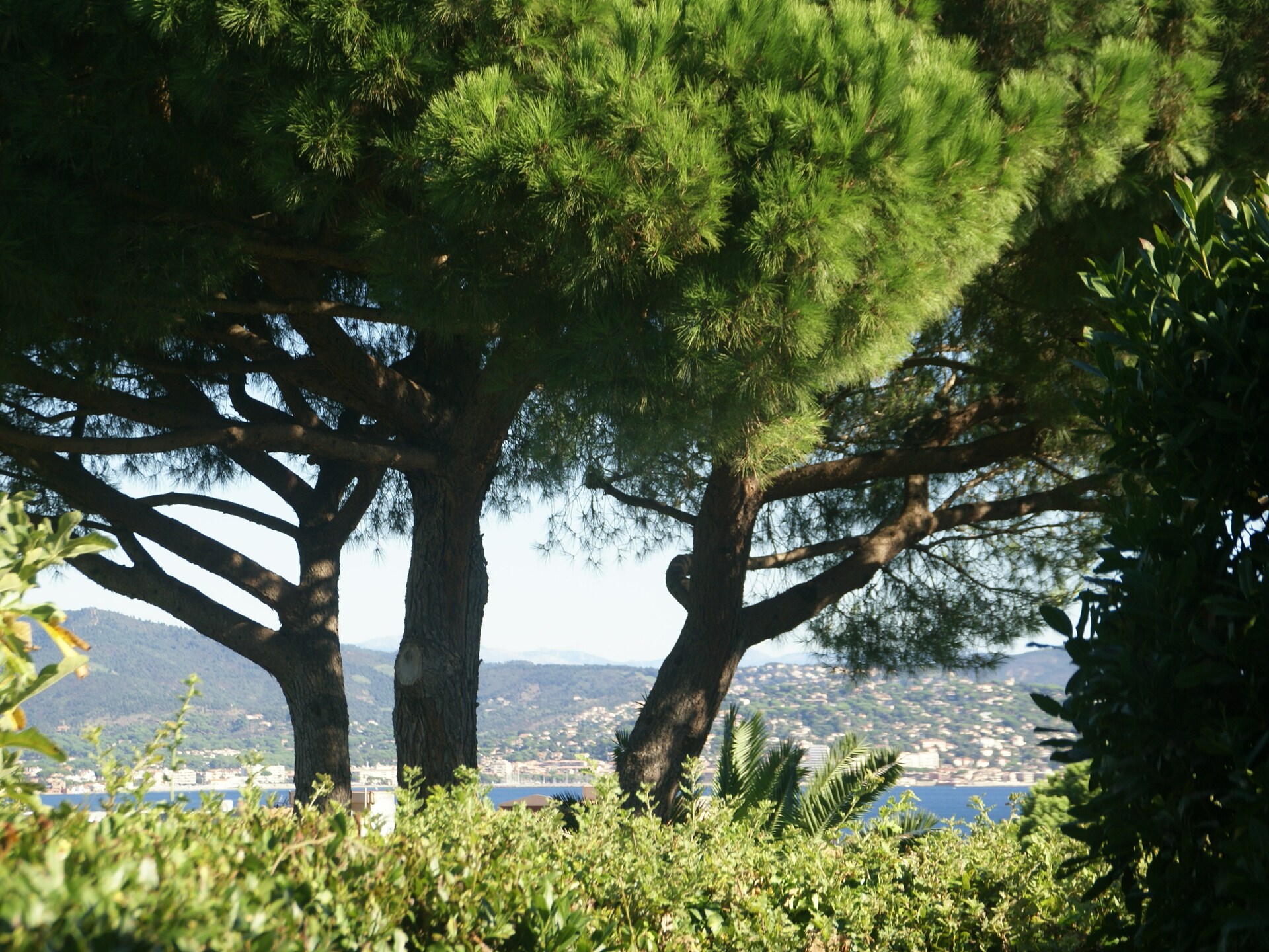 Vrijstaande villa met privézwembad in Saint-Tropez, 1 km van strand en centrum - foto 23