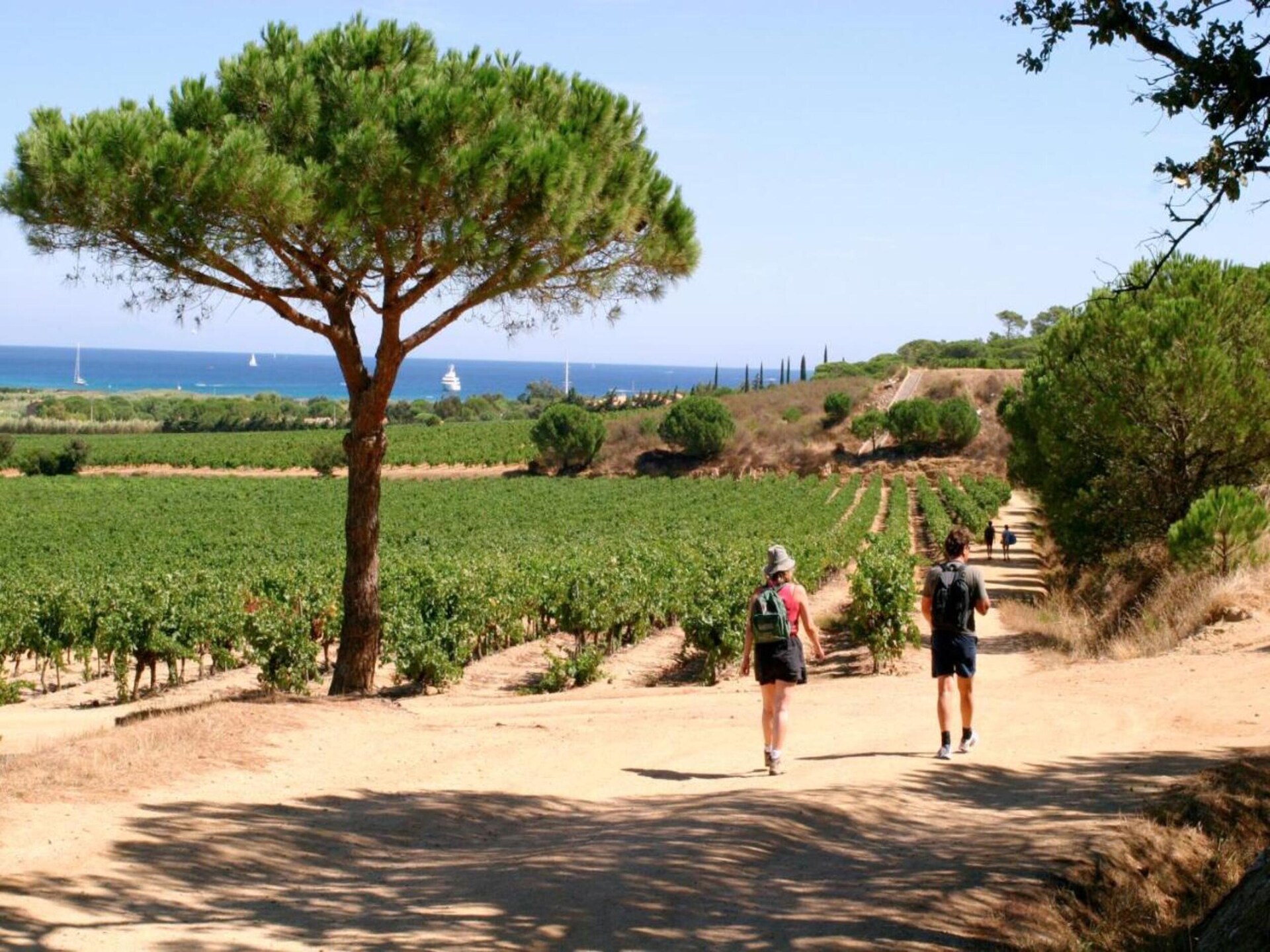 Vrijstaande villa met privézwembad in Saint-Tropez, 1 km van strand en centrum - foto 36