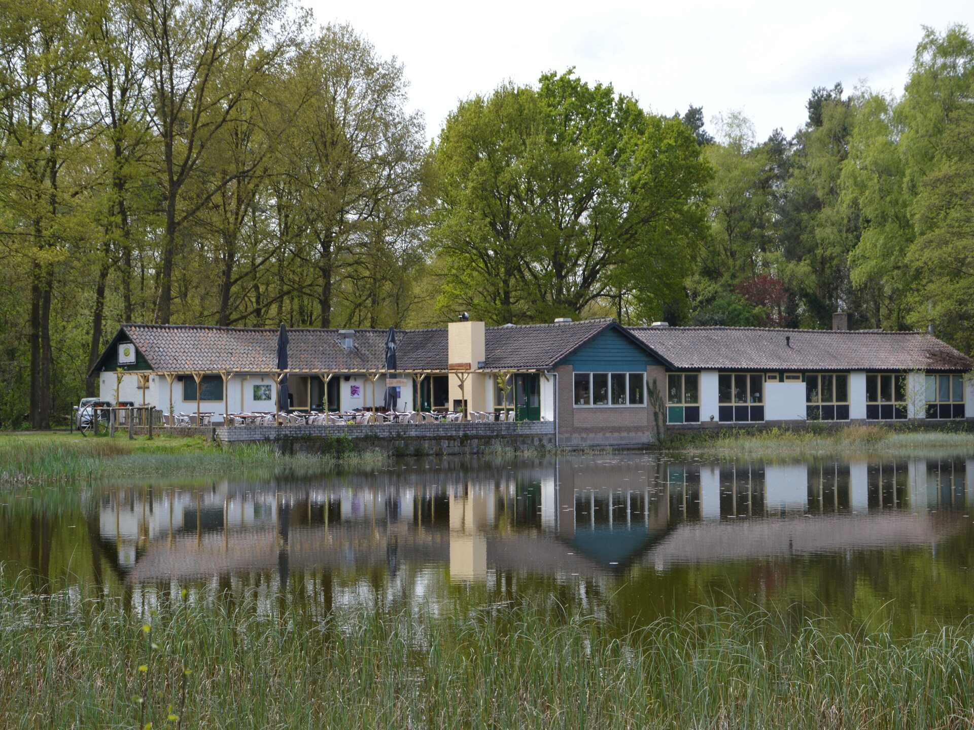 Anjer Bungalow 61: Gezellig vakantiehuis in het bos voor 6 personen - foto 29