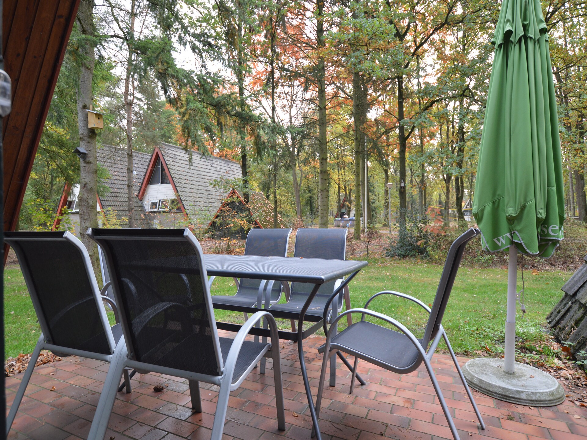 Anjer Bungalow 61: Gezellig vakantiehuis in het bos voor 6 personen - foto 21