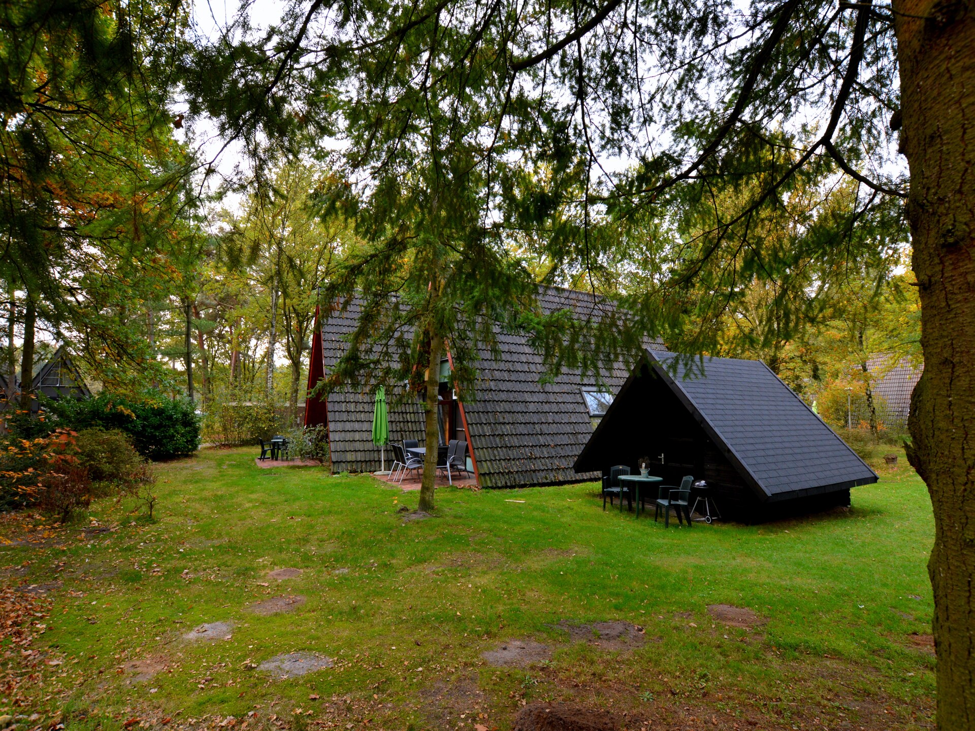 Anjer Bungalow 61: Gezellig vakantiehuis in het bos voor 6 personen - foto 24