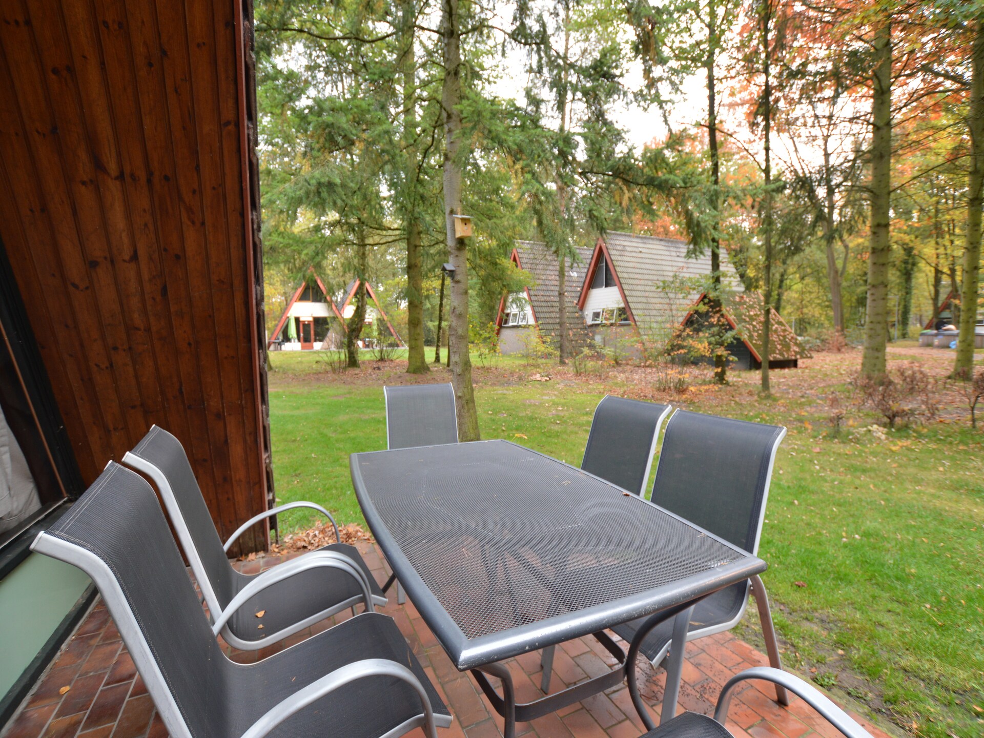 Anjer Bungalow 61: Gezellig vakantiehuis in het bos voor 6 personen - foto 26