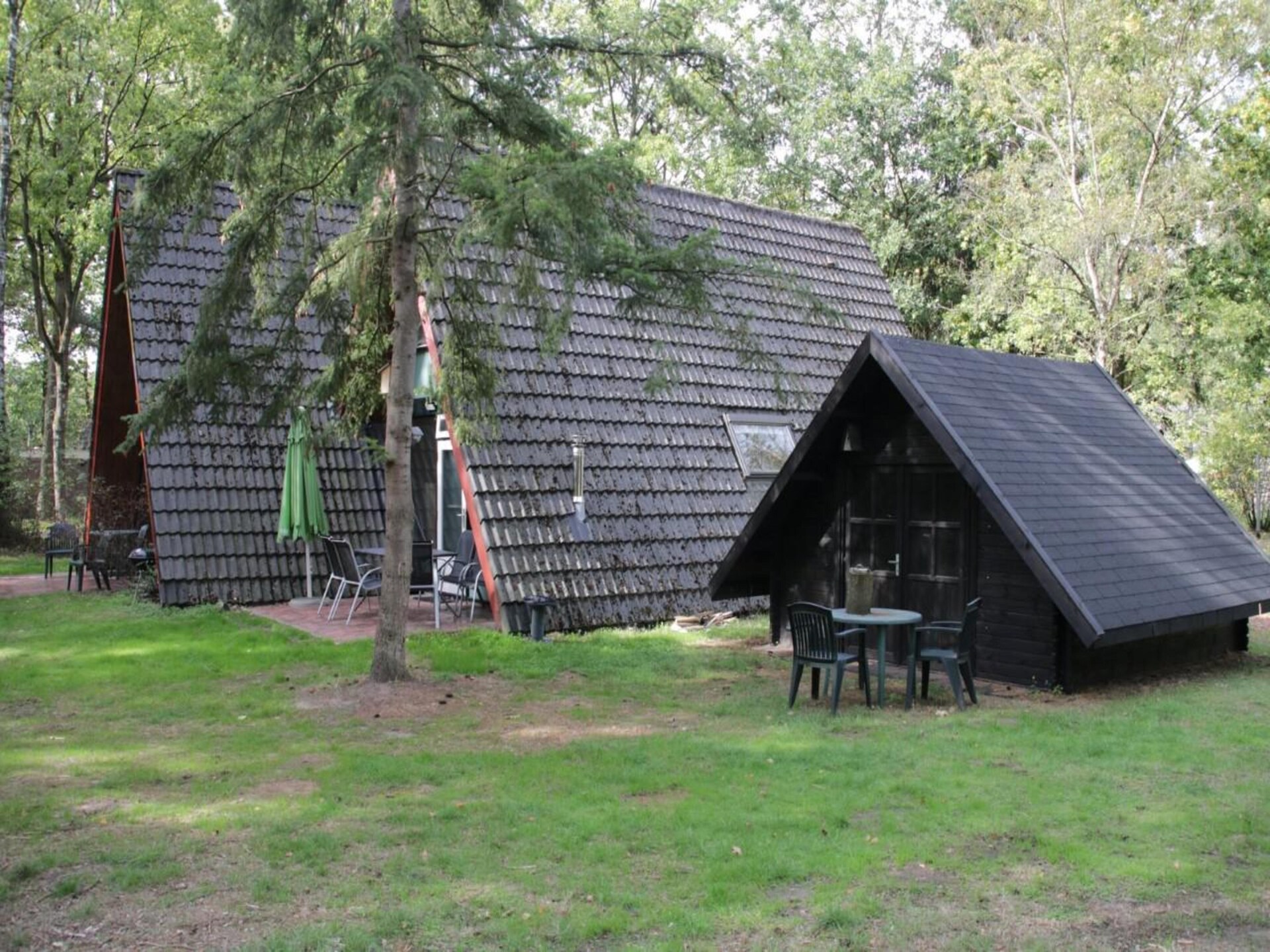 Anjer Bungalow 61: Gezellig vakantiehuis in het bos voor 6 personen - foto 23