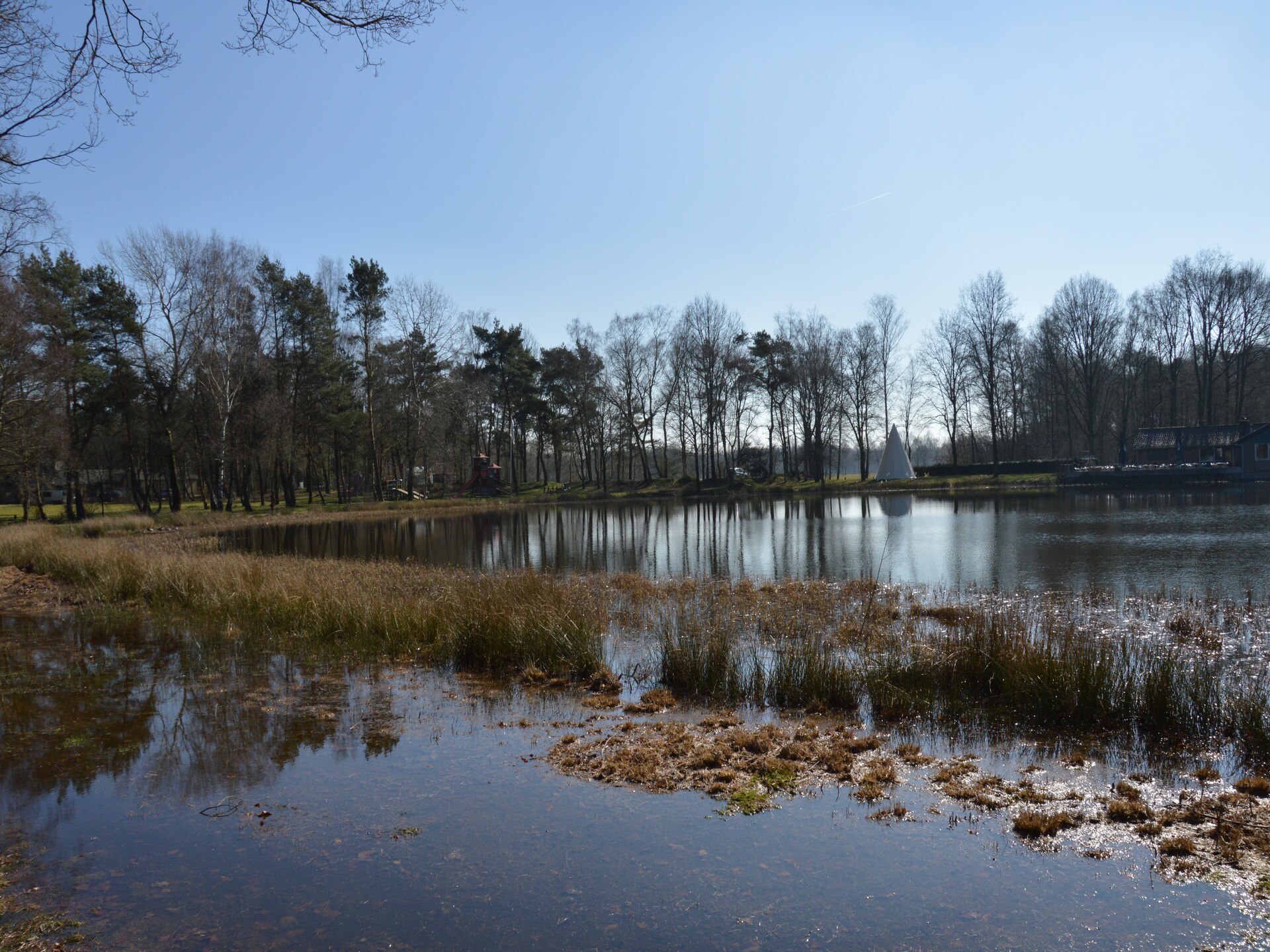 Sfeervol vrijstaand huis voor 12 personen op bosrijk park in Noord-Limburg - foto 26