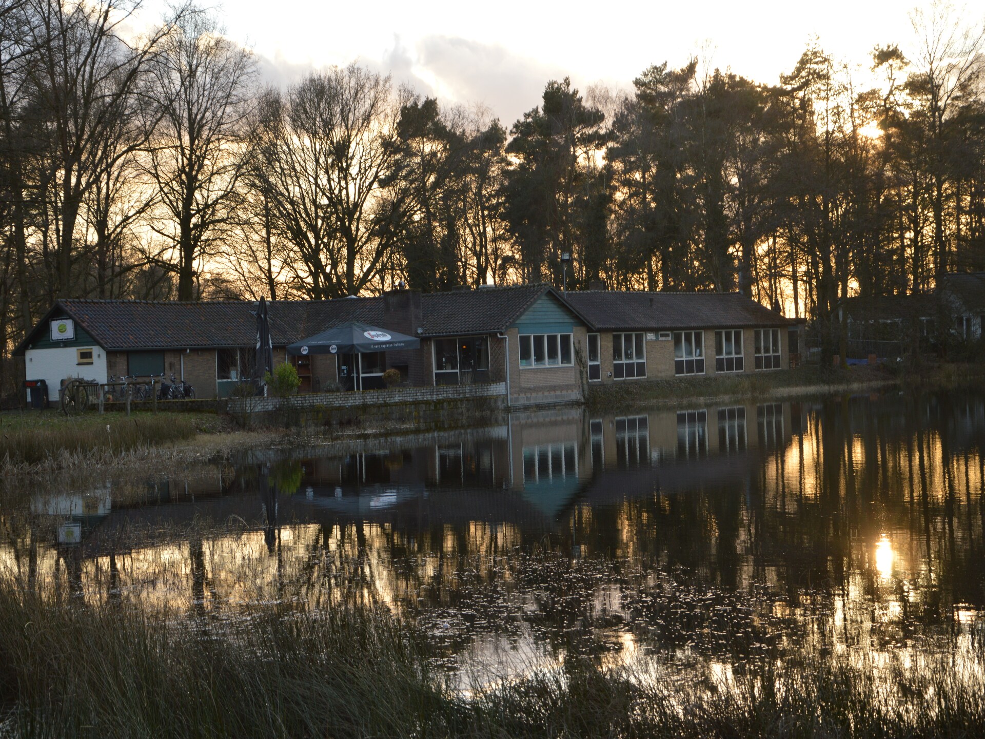 Sfeervol vrijstaand huis voor 12 personen op bosrijk park in Noord-Limburg - foto 27