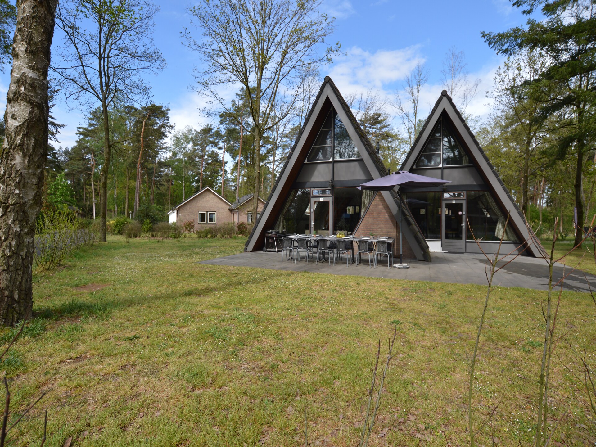 Sfeervol vrijstaand huis voor 12 personen op bosrijk park in Noord-Limburg - foto 8