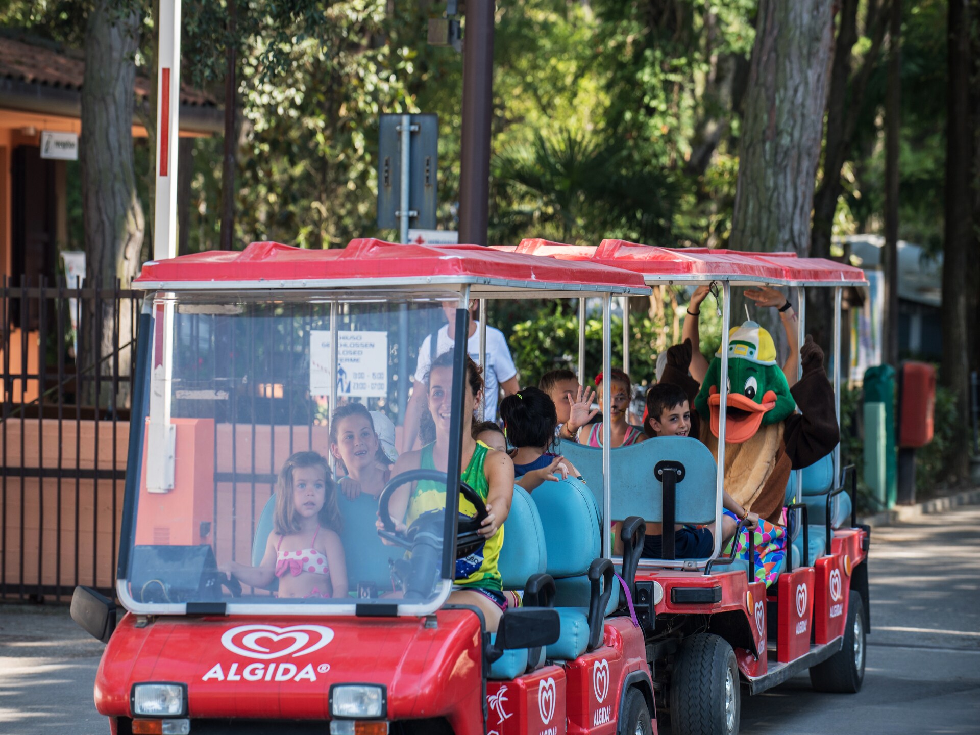 Lichte stacaravan voor 5 personen in Lido di Spina - foto 24