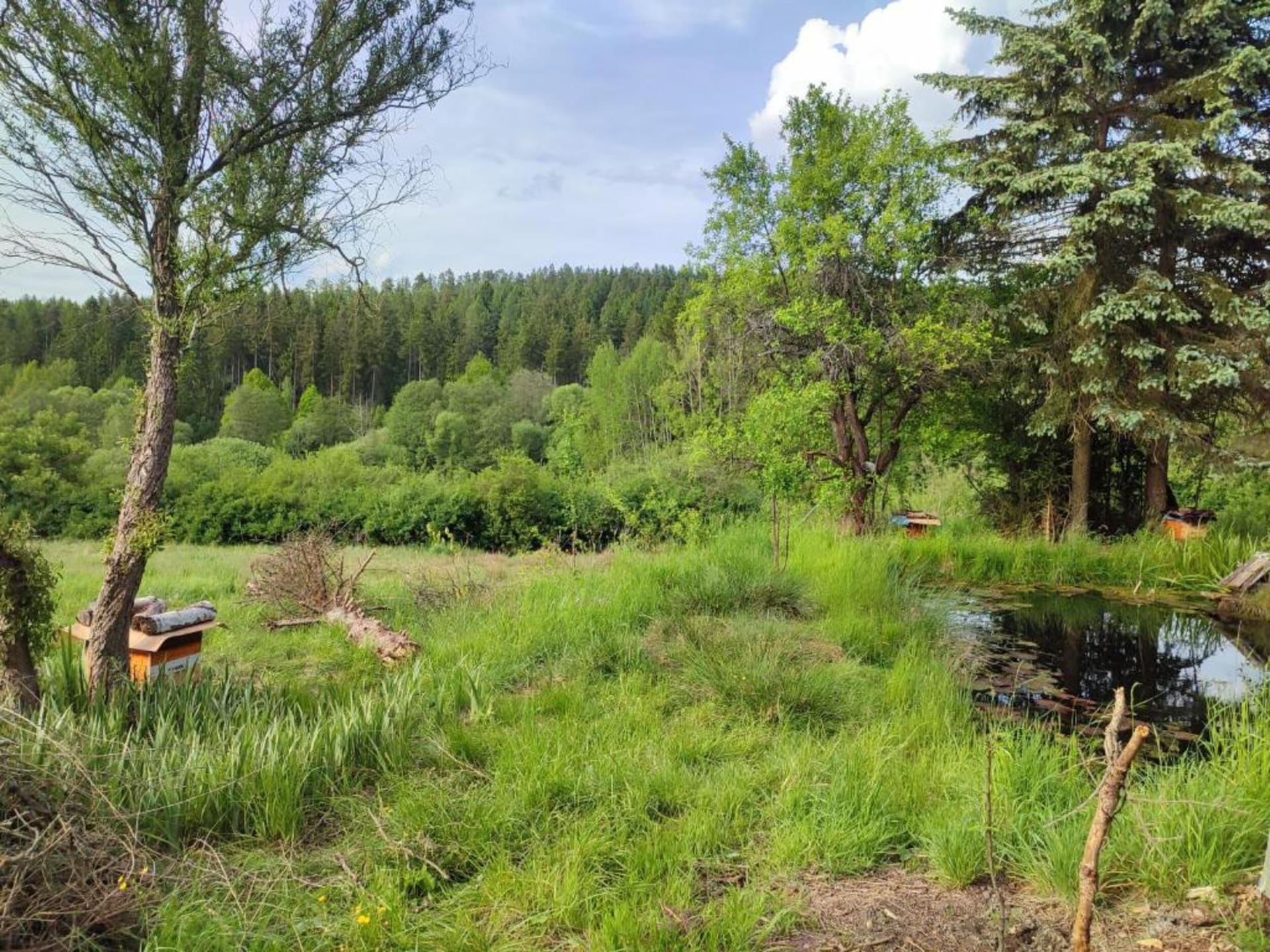 Comfortabel chalet op Vakantiepark de Tabaksschuur in Elst - foto 15