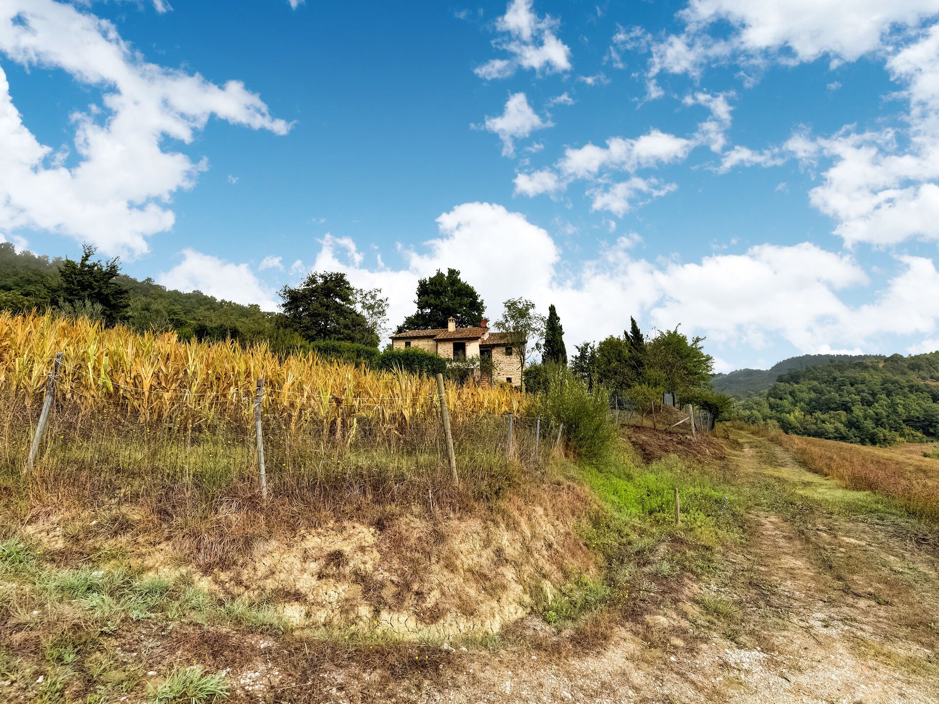 Vrijstaande villa Sorgente met privézwembad in het Toscaanse heuvelland - foto 37