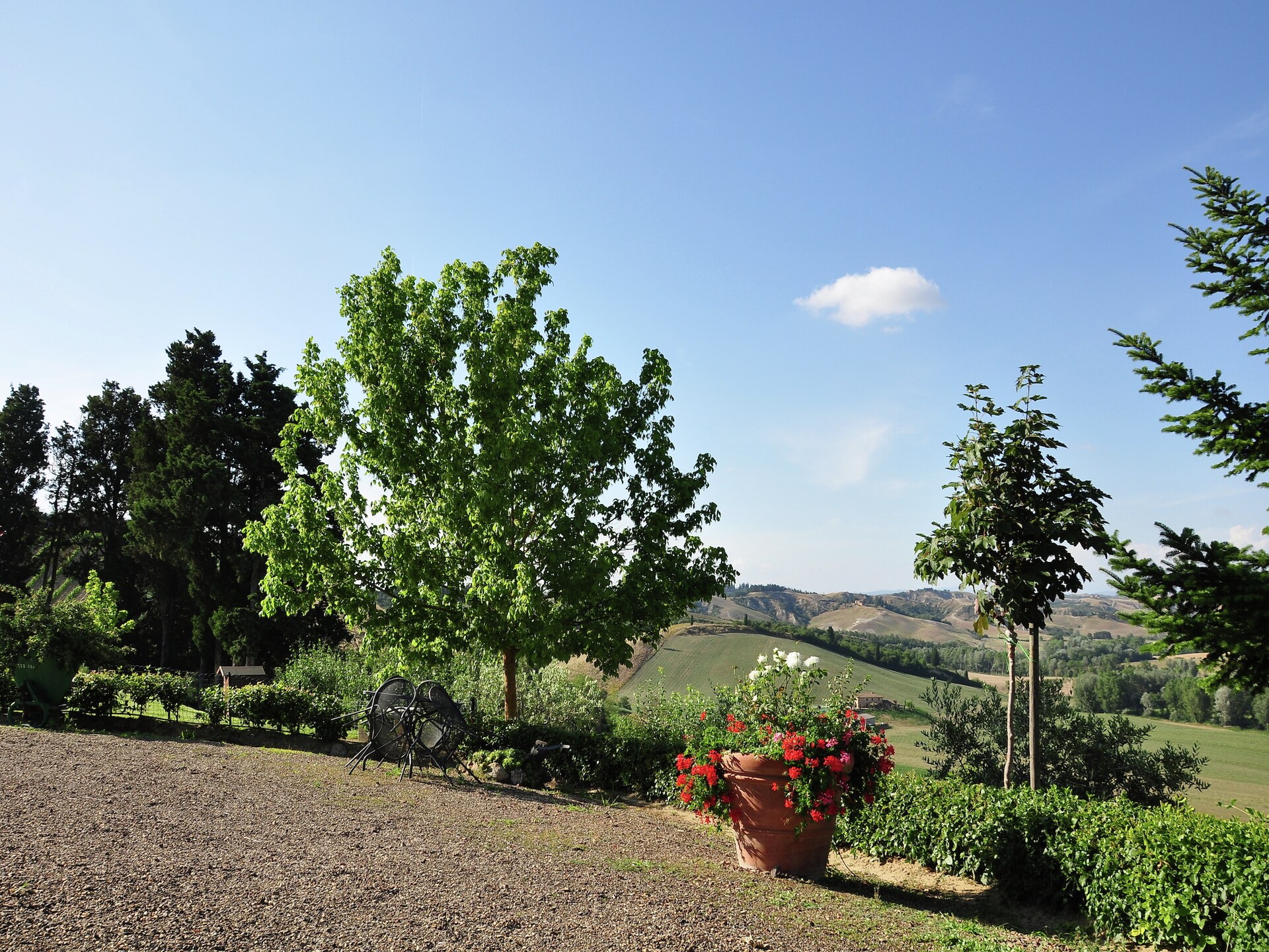 Sfeervol boerderijappartement voor 2 in het Toscaanse Buonconvento - foto 29
