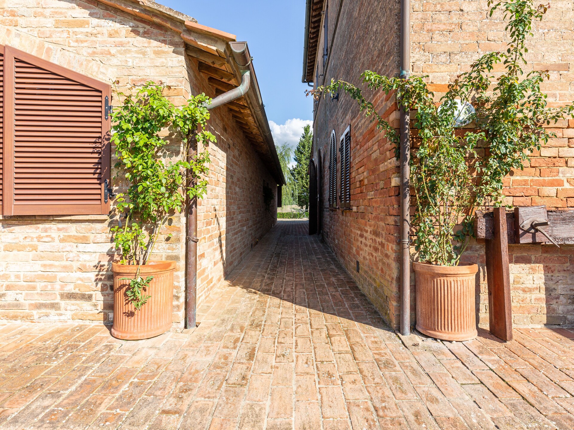 Sfeervol boerderijappartement voor 2 in het Toscaanse Buonconvento - foto 1