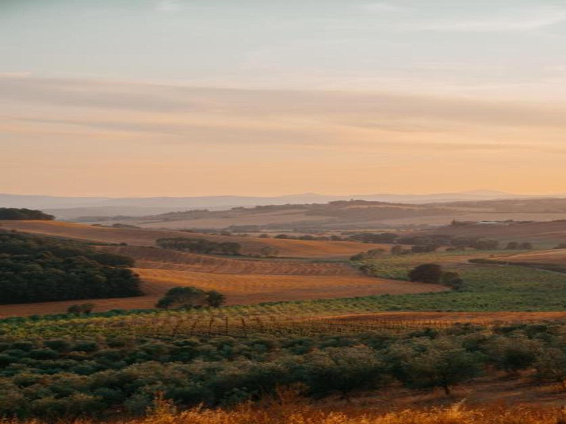 Sfeervol boerderijappartement voor 2 in het Toscaanse Buonconvento - foto 33