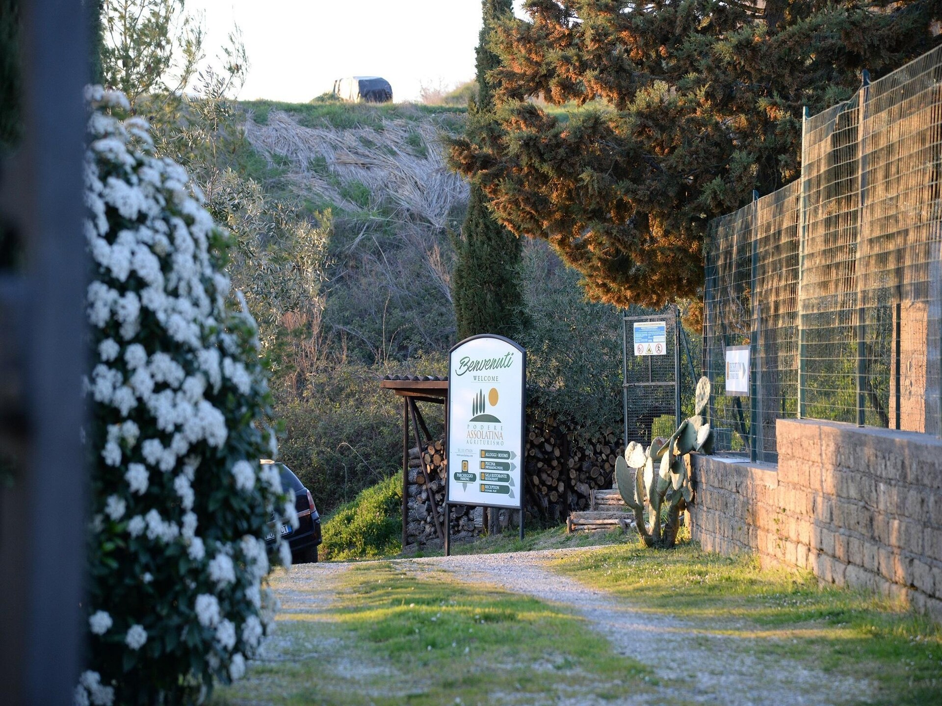 Authentiek Toscaans vakantiehuis voor 6 personen met zwembad nabij San Casciano dei Bagni - foto 18