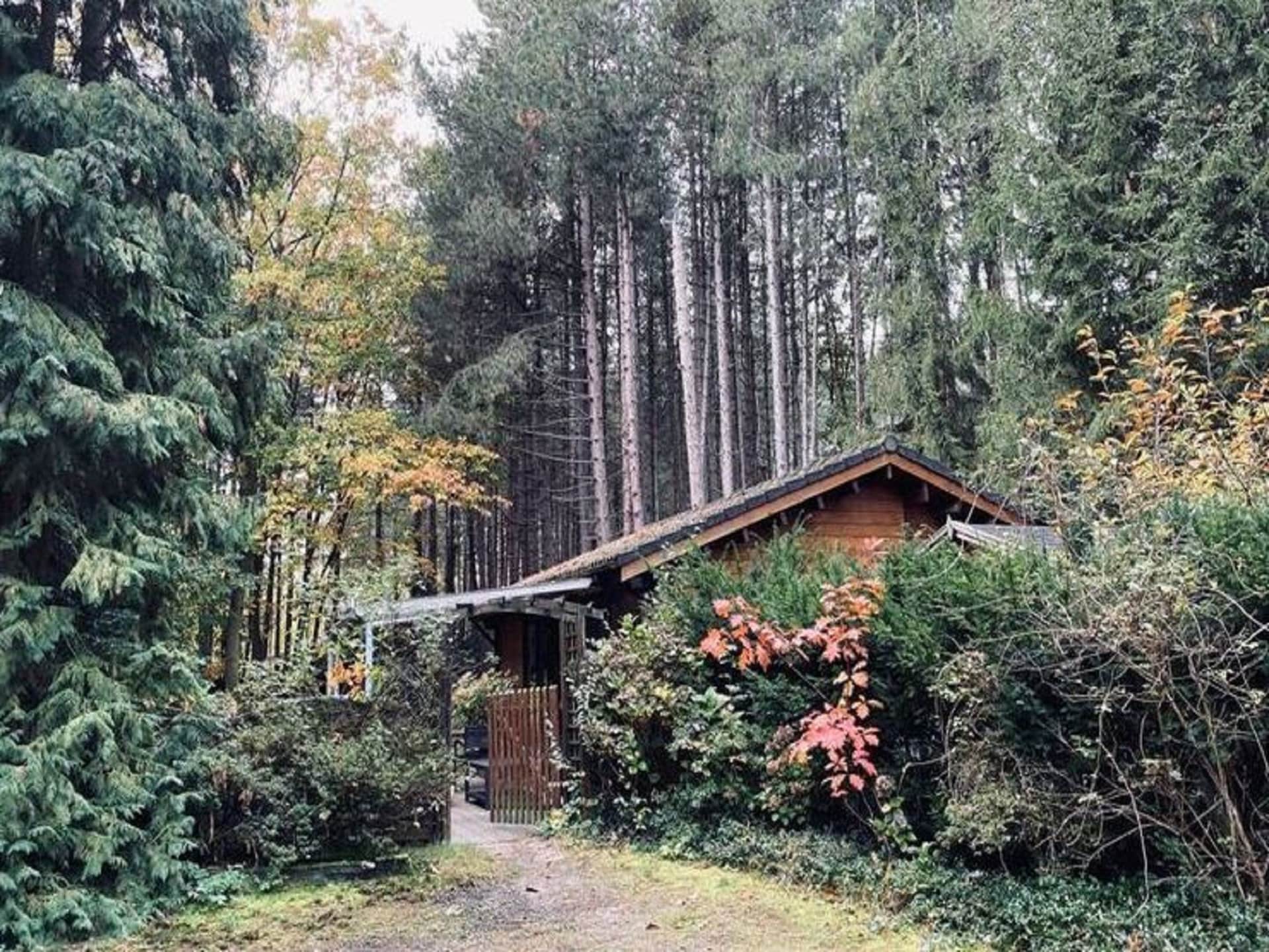 Gezellig 4-persoons chalet aan natuurreservaat in Nijlen - foto 17