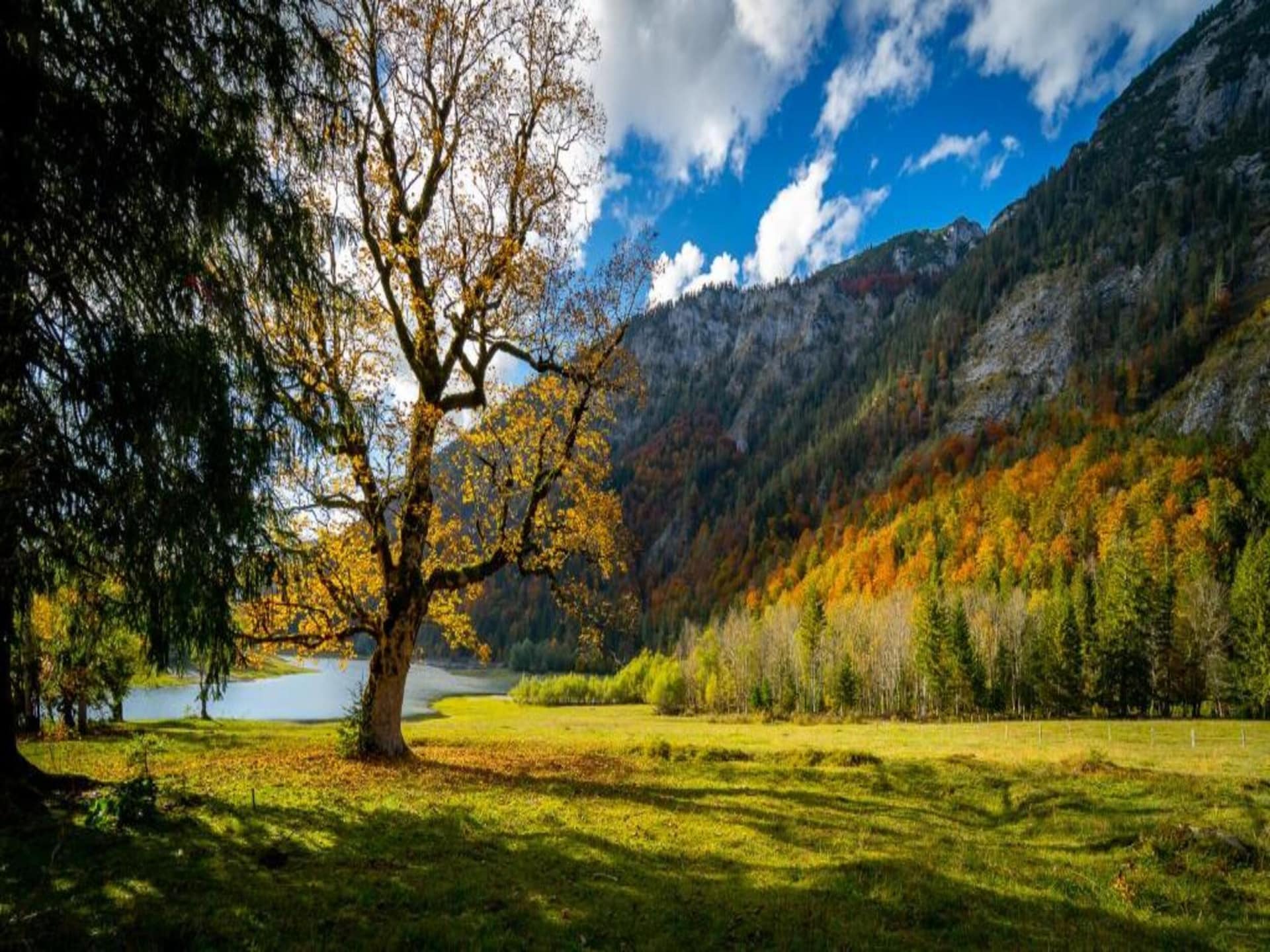 2-persoons appartement in Ruhpolding aan de piste en het meer - foto 30