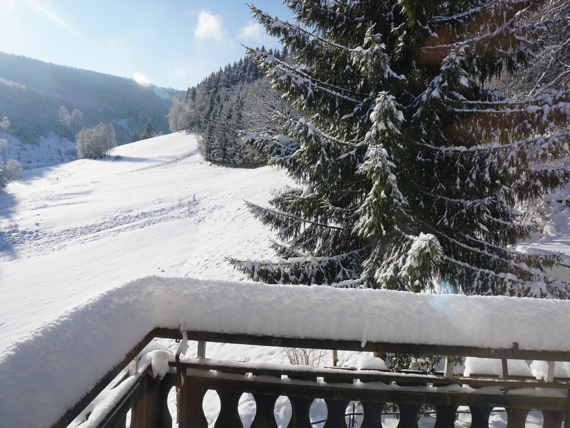 Ruime groepsvilla voor 30 personen aan de bosrand bij Winterberg - foto 29