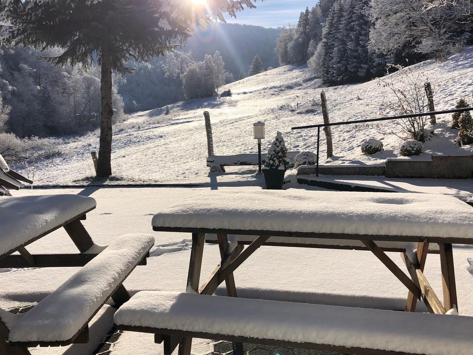 Ruime groepsvilla voor 30 personen aan de bosrand bij Winterberg - foto 30