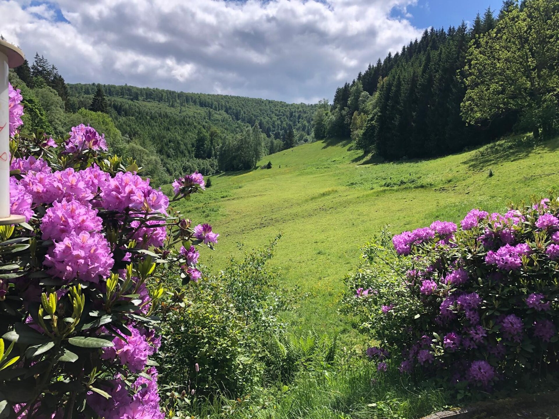 Ruime groepsvilla voor 30 personen aan de bosrand bij Winterberg - foto 35