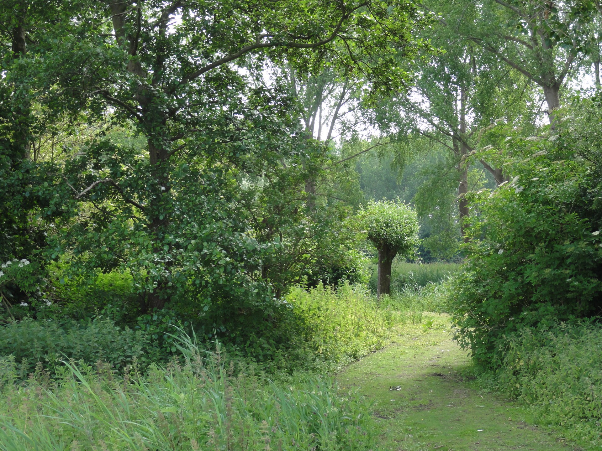Vrijstaand vakantiehuis Houck in bosrijke omgeving met uitzicht over weilanden - foto 23
