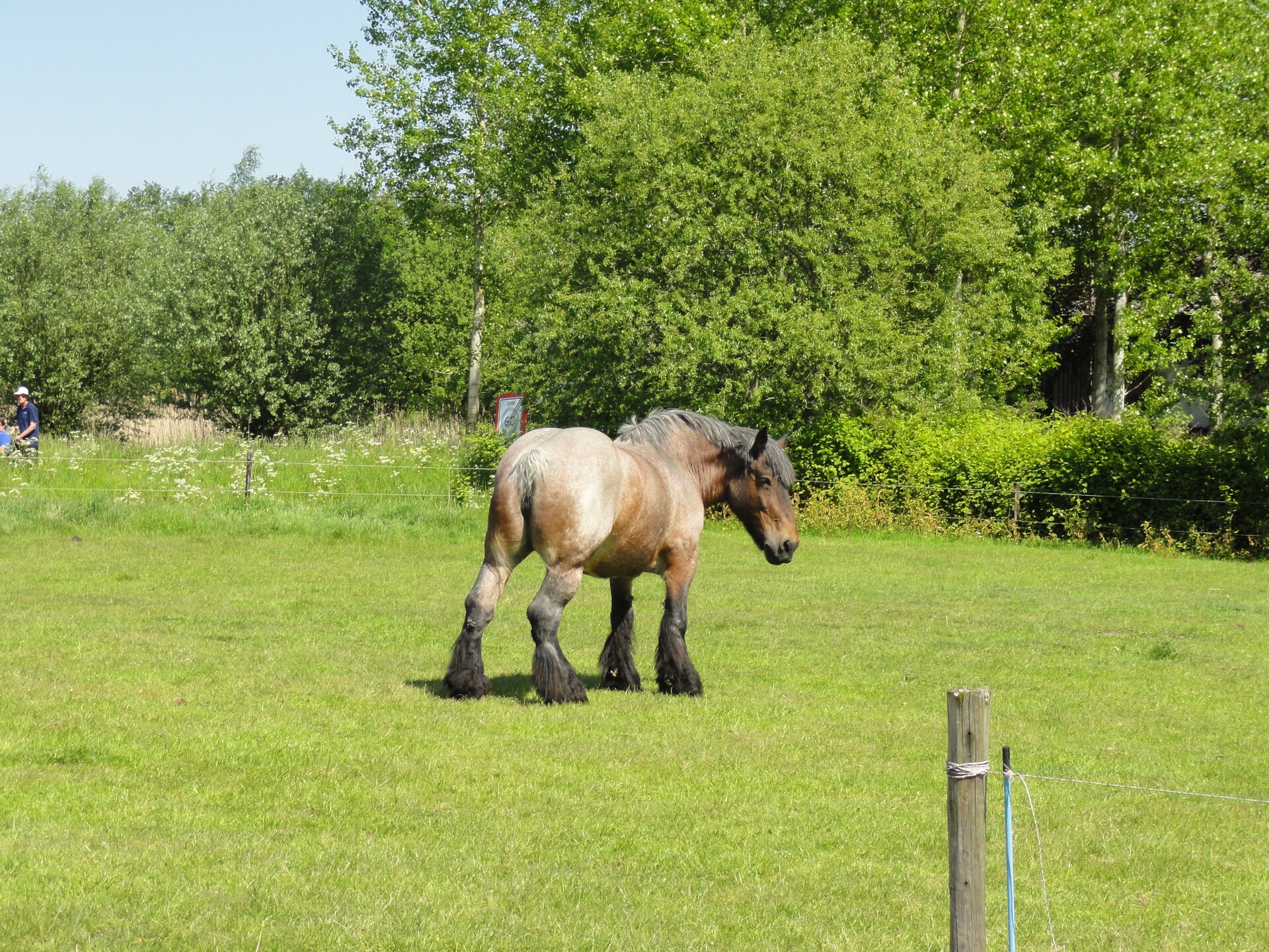 Vrijstaand vakantiehuis Houck in bosrijke omgeving met uitzicht over weilanden - foto 26