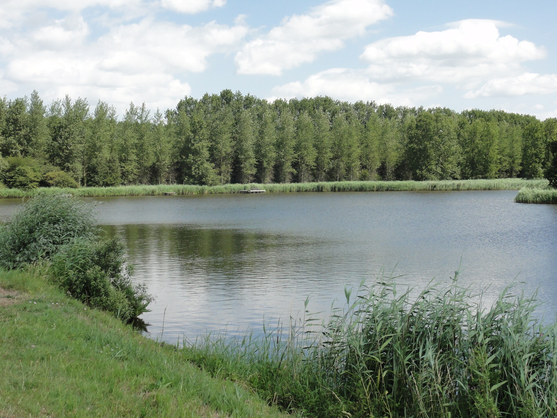 Vrijstaand vakantiehuis Houck in bosrijke omgeving met uitzicht over weilanden - foto 25
