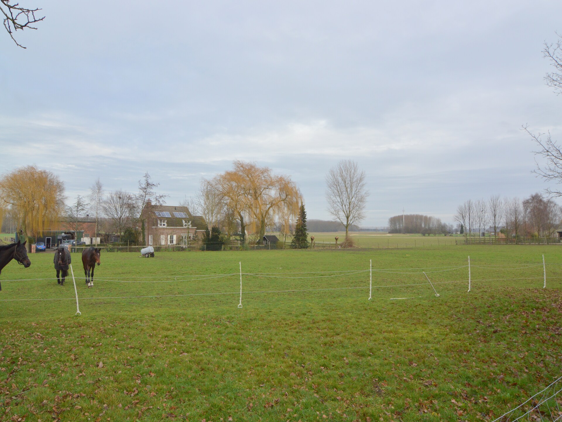 Vrijstaand vakantiehuis Houck in bosrijke omgeving met uitzicht over weilanden - foto 24