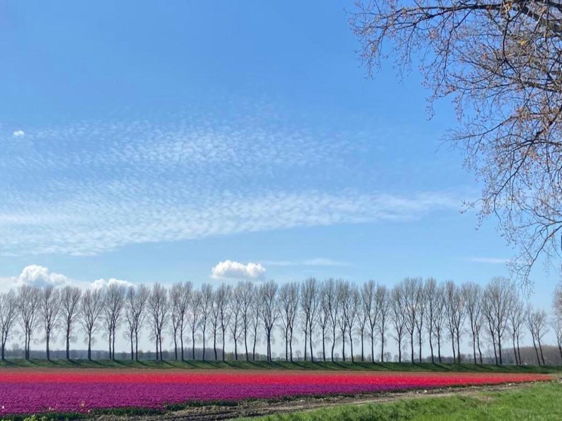 Vrijstaand vakantiehuis Houck in bosrijke omgeving met uitzicht over weilanden - foto 33