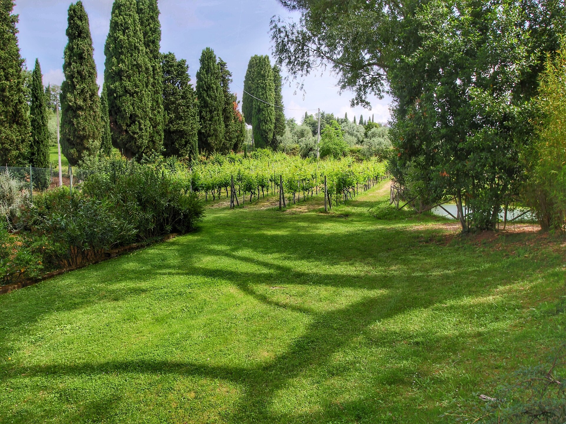 Villa Archi: Ruim Toscaans toevluchtsoord met zwembaden bij Sinalunga - foto 11