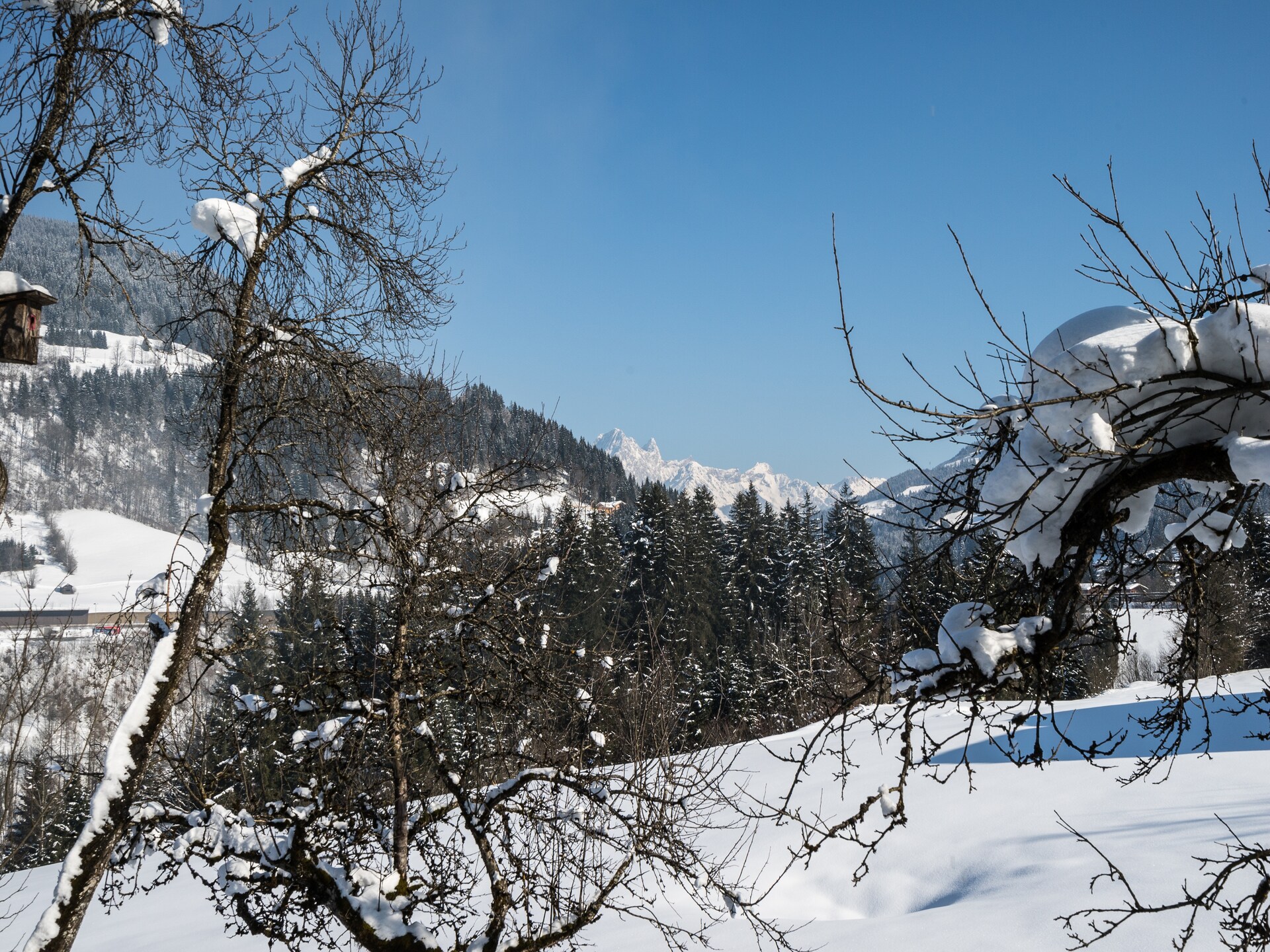 Authentiek landhuis in Eben im Pongau, direct aan bos en piste - foto 20