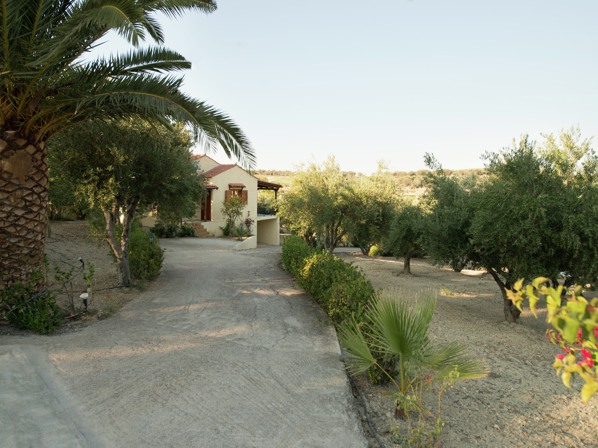 Villa Eleni en Manolis - foto 7