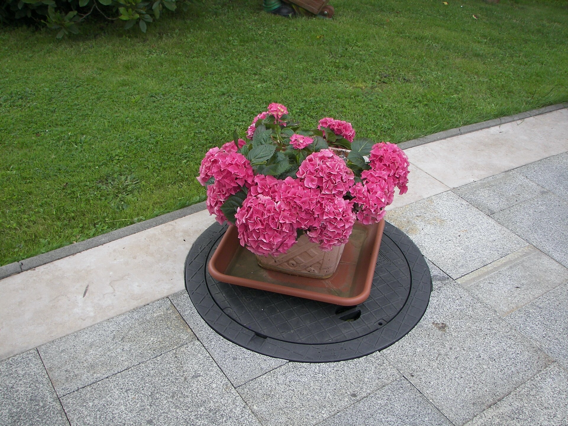 Lichtenhain appartement met tuin in het Saksisch Zwitserland | 4 pers. - foto 21