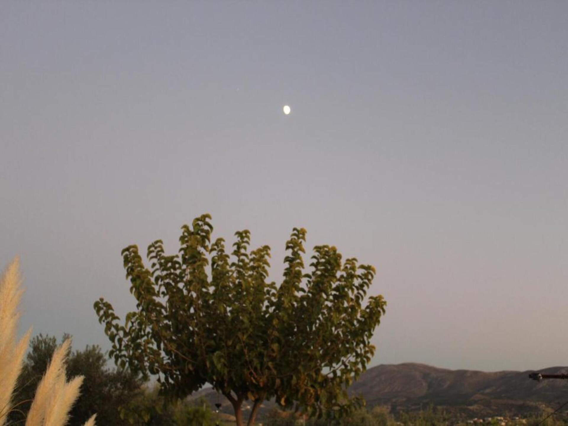 Villa Despoina: Vrijstaande villa aan zee in Malades, Kreta - foto 36