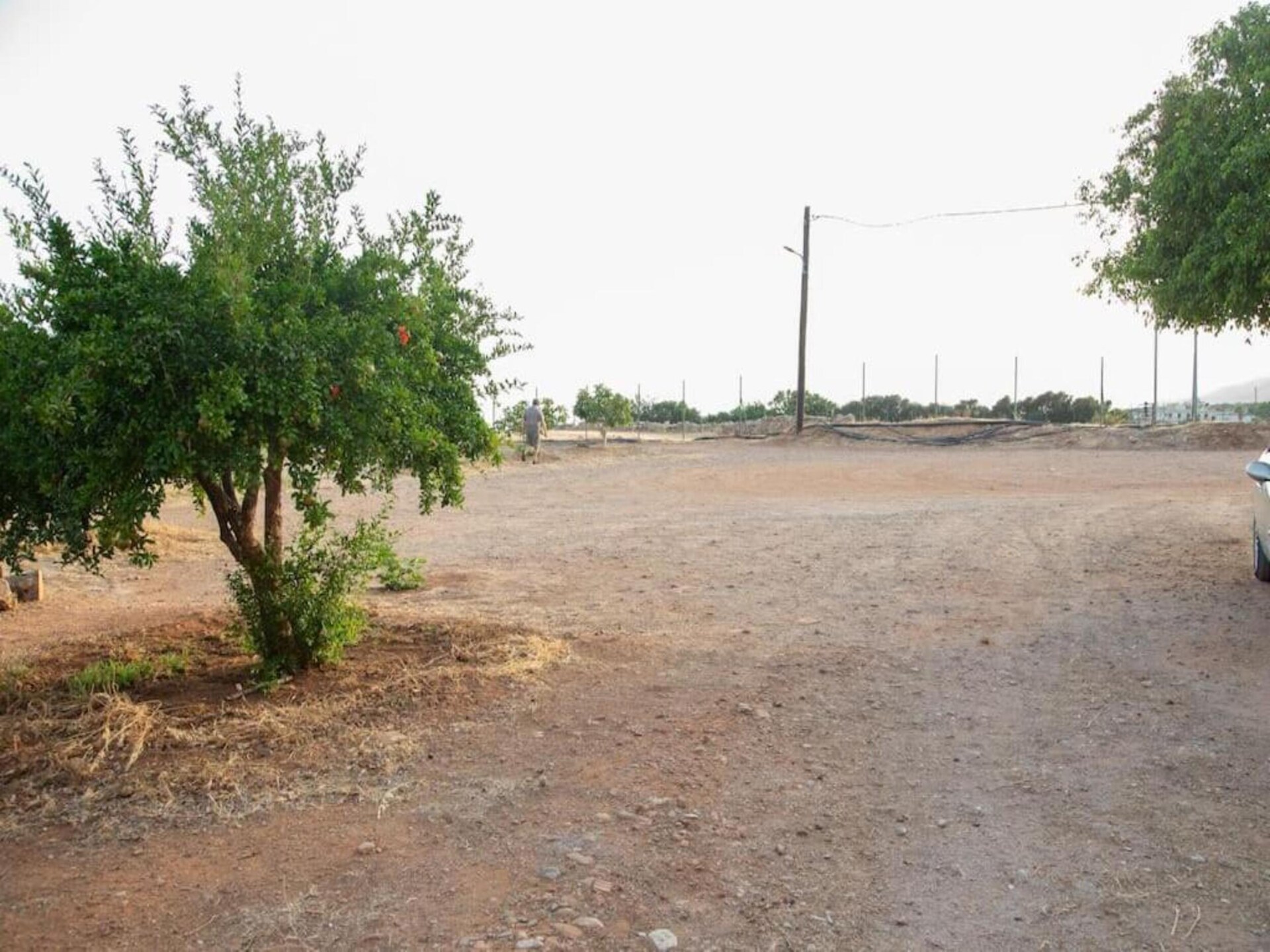 Villa Despoina: Vrijstaande villa aan zee in Malades, Kreta - foto 40