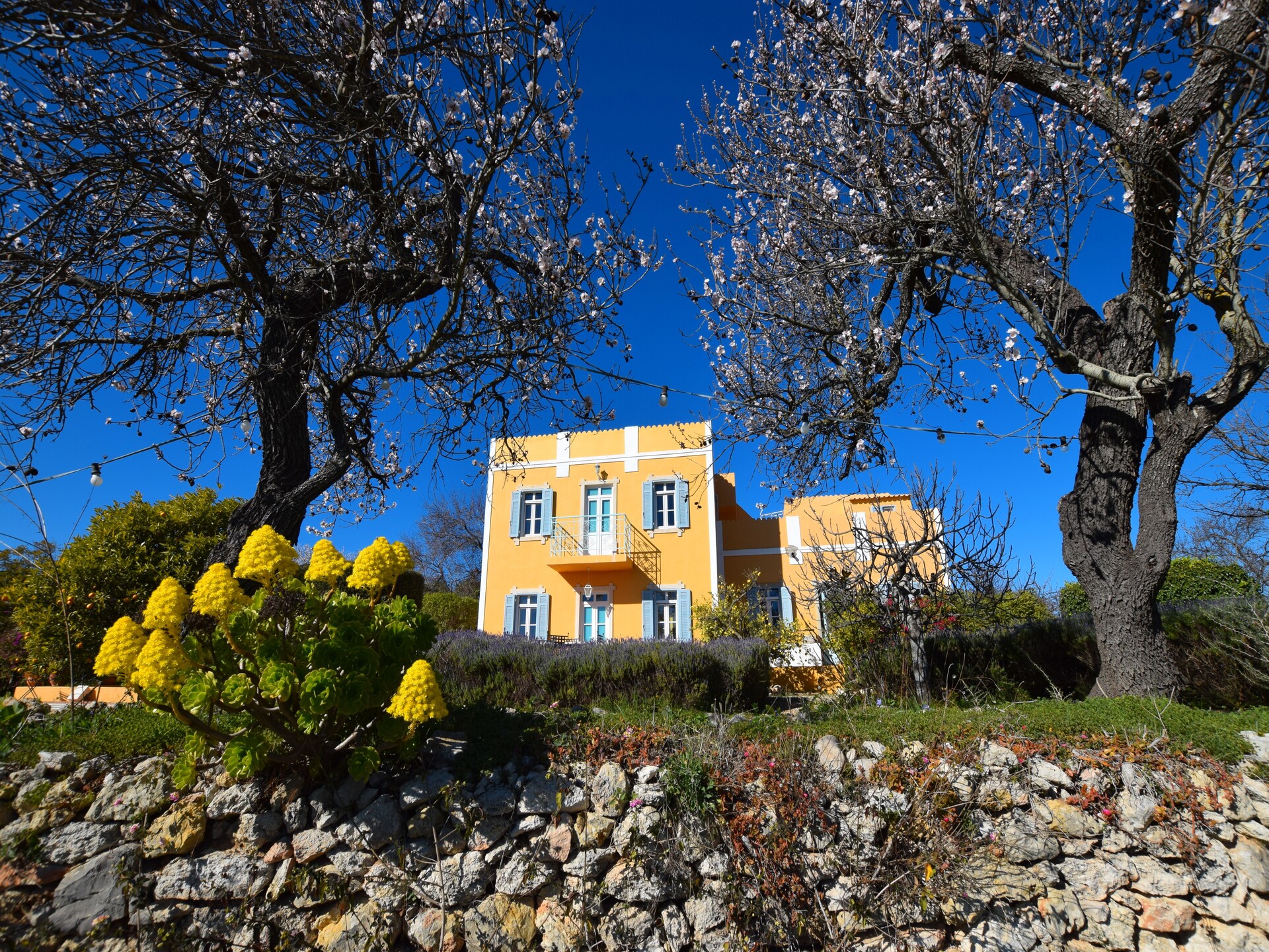 Landhuis Quinta Amarela XXL met privézwembad en panoramisch zeezicht bij Loulé - foto 6