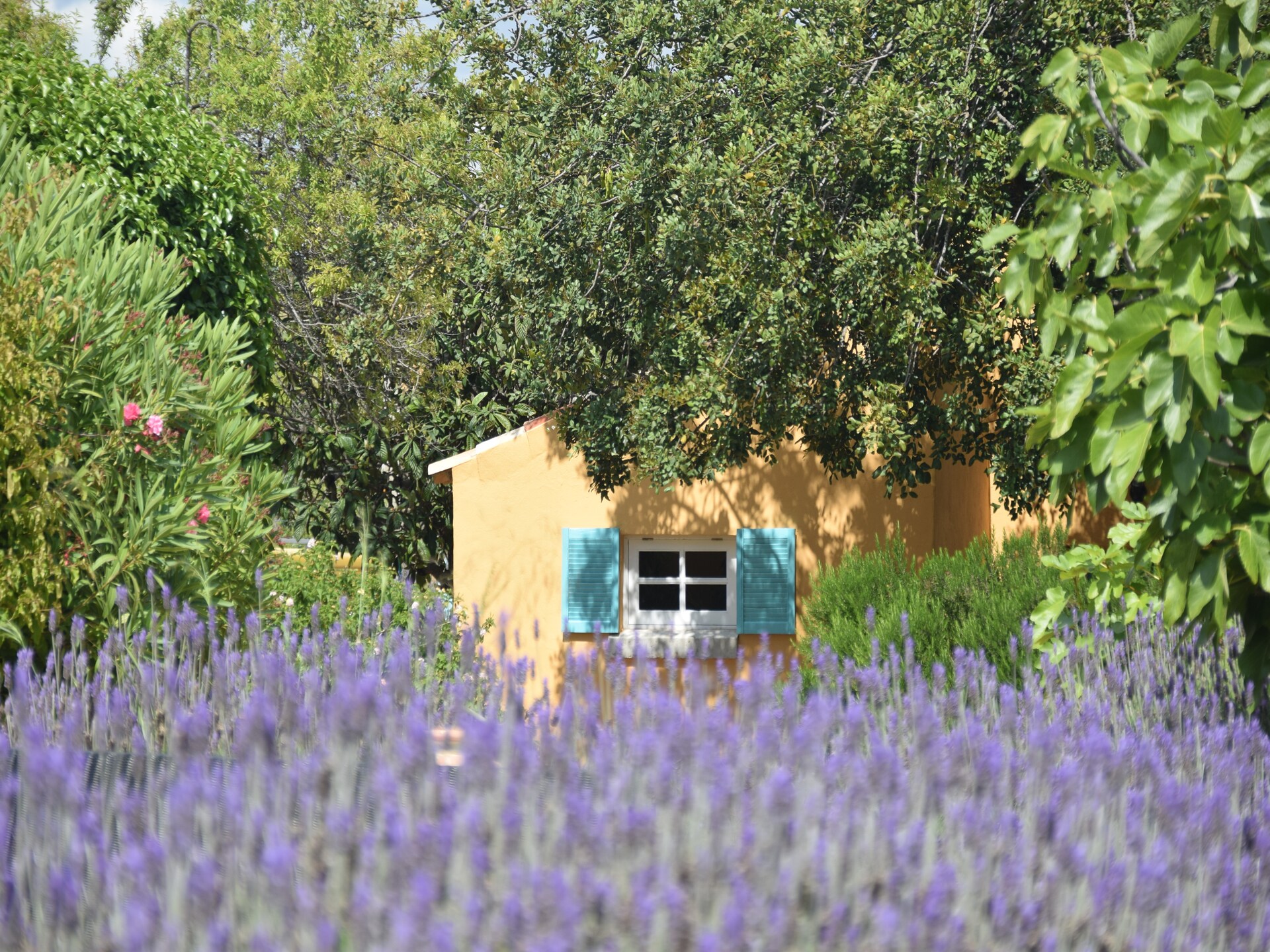 Sfeervol landhuis Casa Amarela in de heuvels van Loulé - foto 12