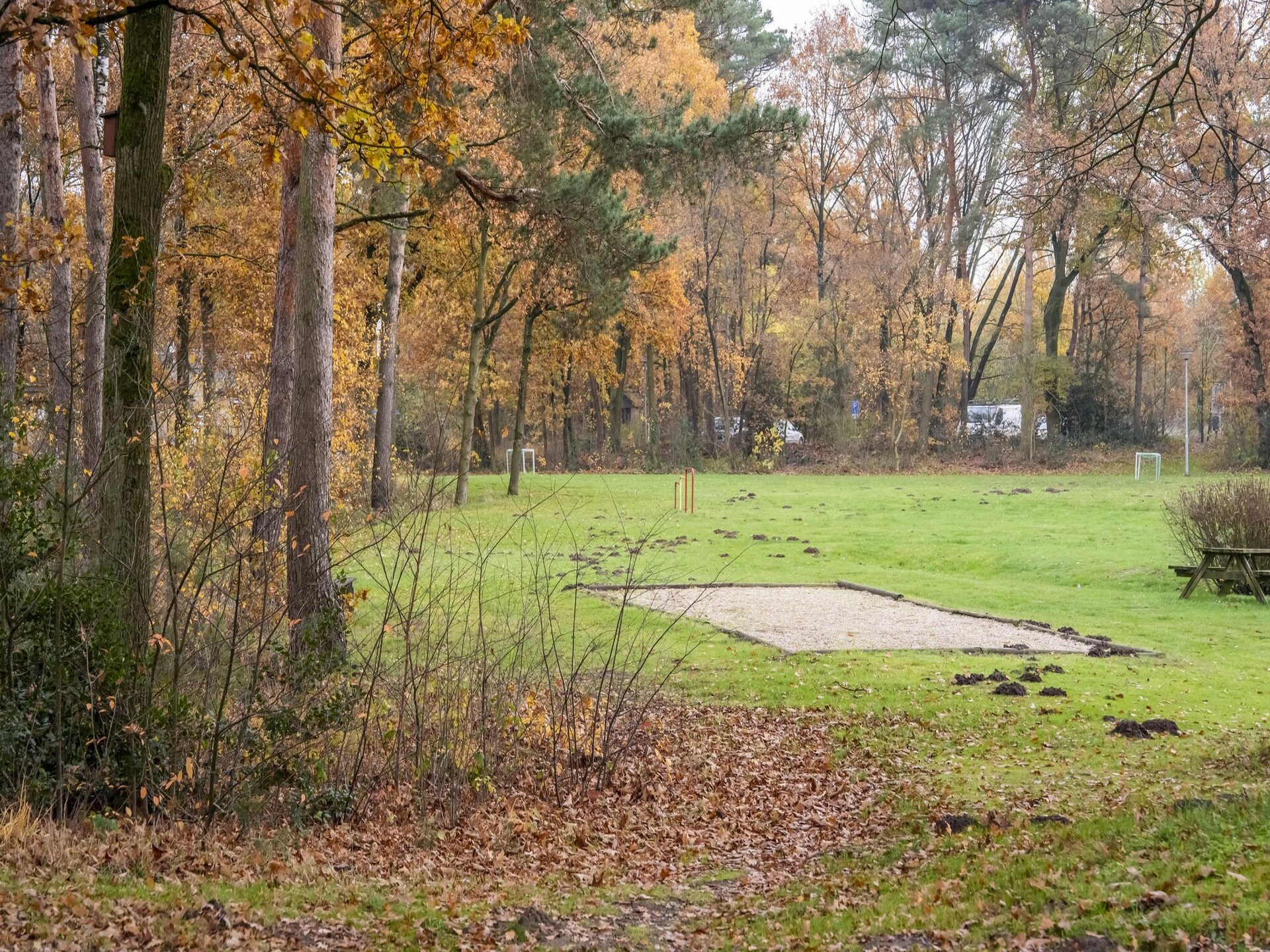 Vosseven 84 Moseik – Modern vakantiehuis in de bossen van Noord-Limburg - foto 27