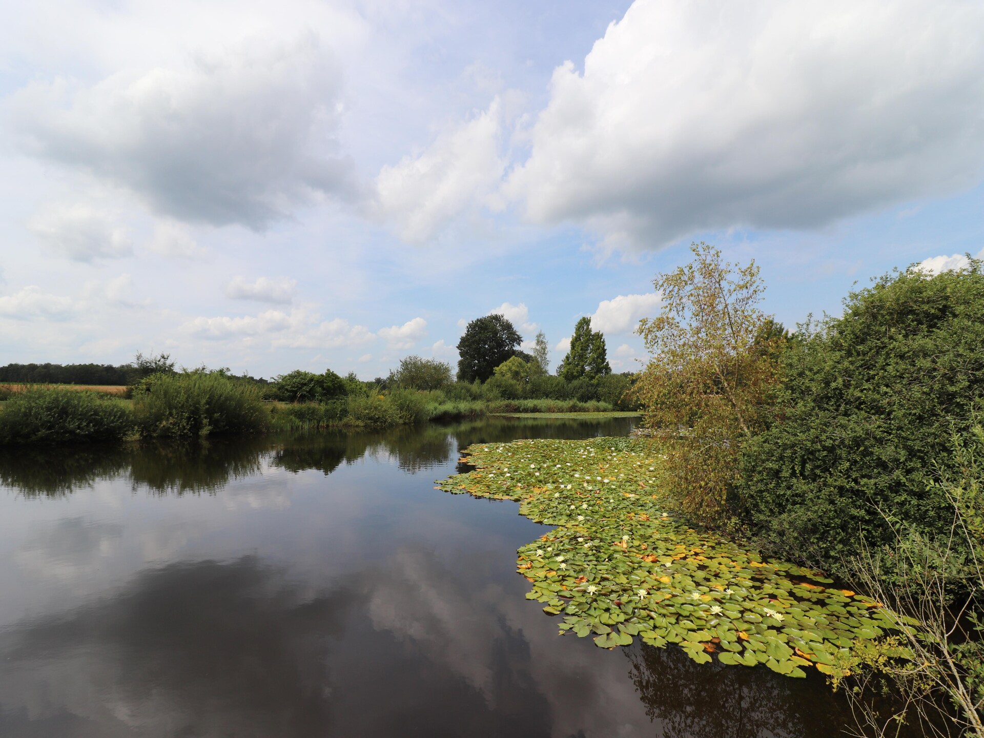 Landgoed de Klimberg – Luxe villa met privévijver in bosrijk Overijssel - foto 29