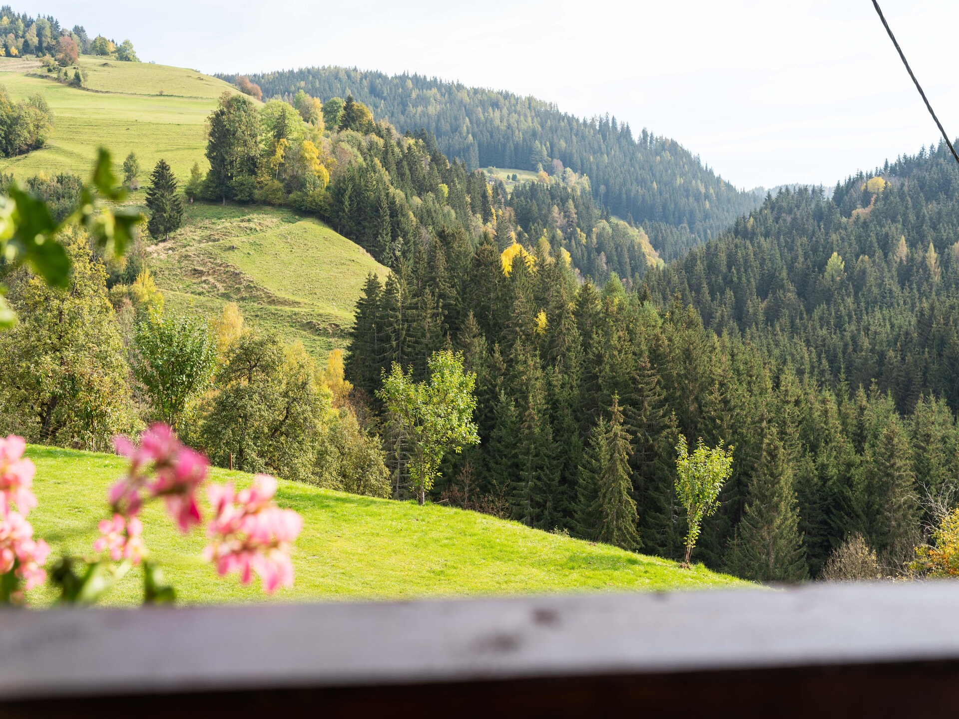 Zois Hütte: Vrijstaand vakantiehuis met sauna in de Karinthische bergen - foto 35