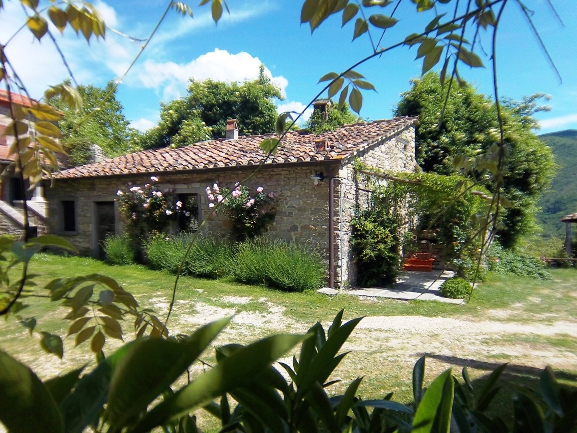 Sagrestia 1: Authentiek vakantiehuis in middeleeuws Toscaans dorp met zwembad - foto 31